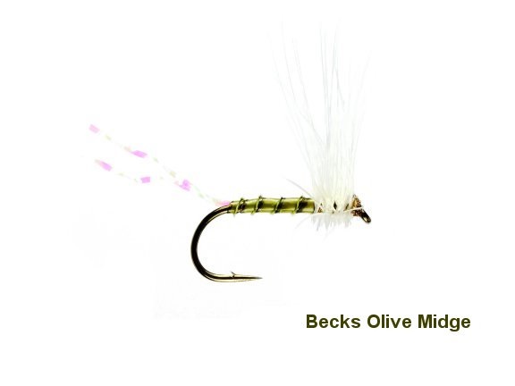 Becks Olive Midge