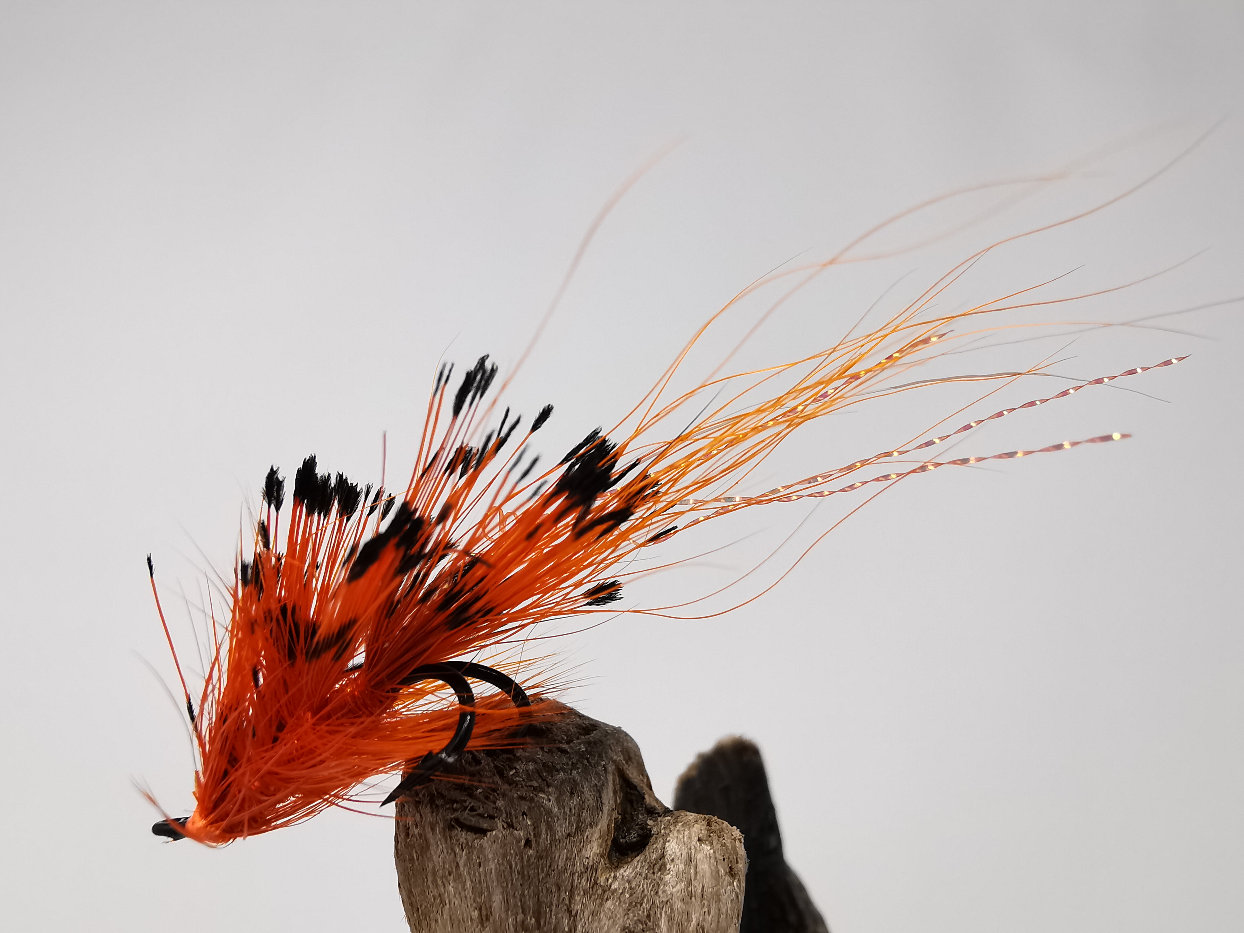 General Practitioner