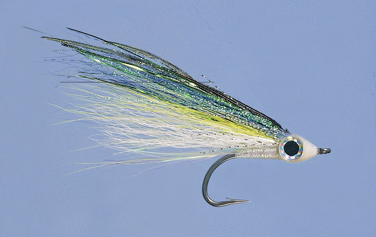 Sea Streamer Anchovie