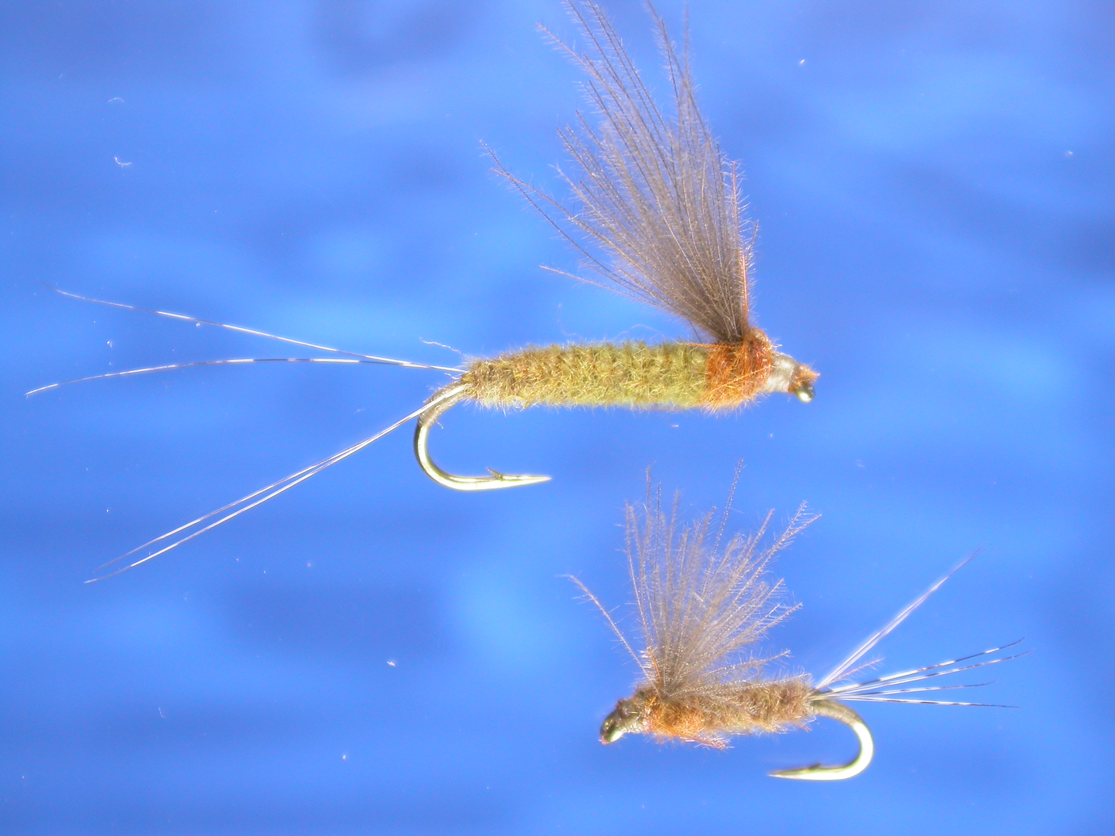 CDC Mayfly Fly Fishing Flies with Fish4Flies Worldwide