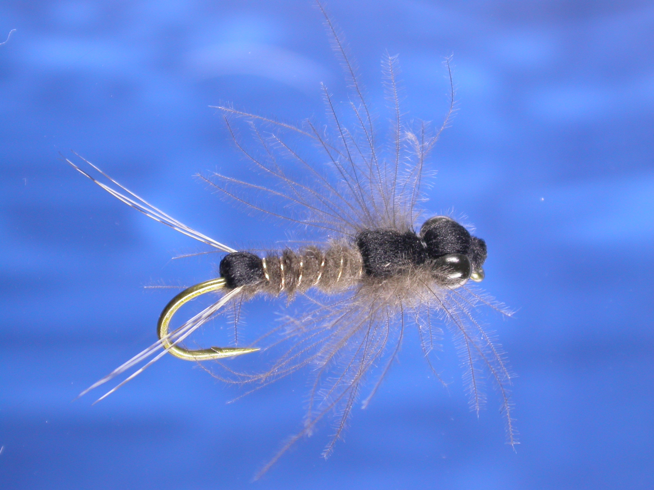 Brown CDC Stonefly Fly Fishing Flies with Fish4Flies Worldwide