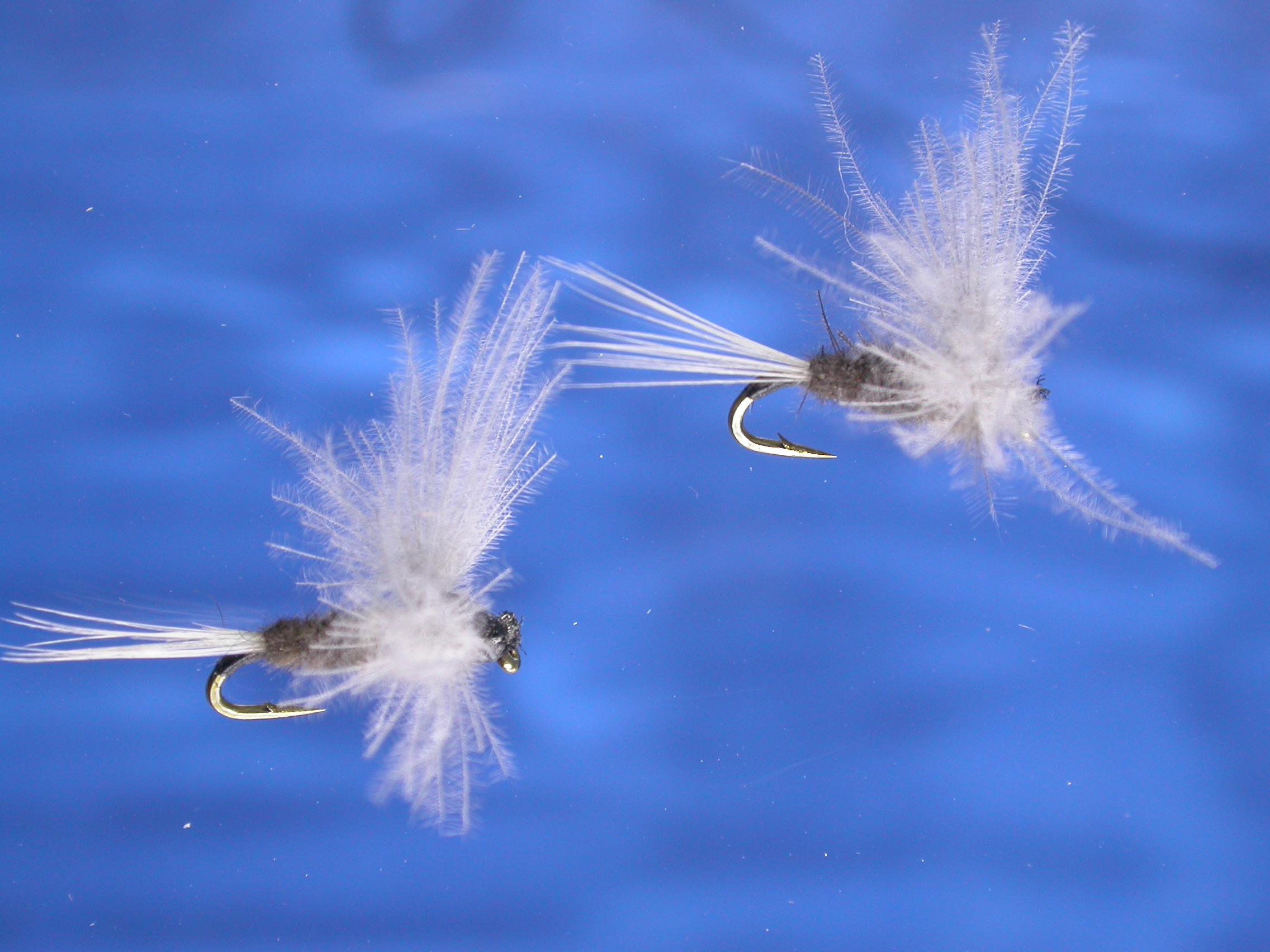 Darksome CDC Dun Fly Fishing Flies with Fish4Flies Worldwide