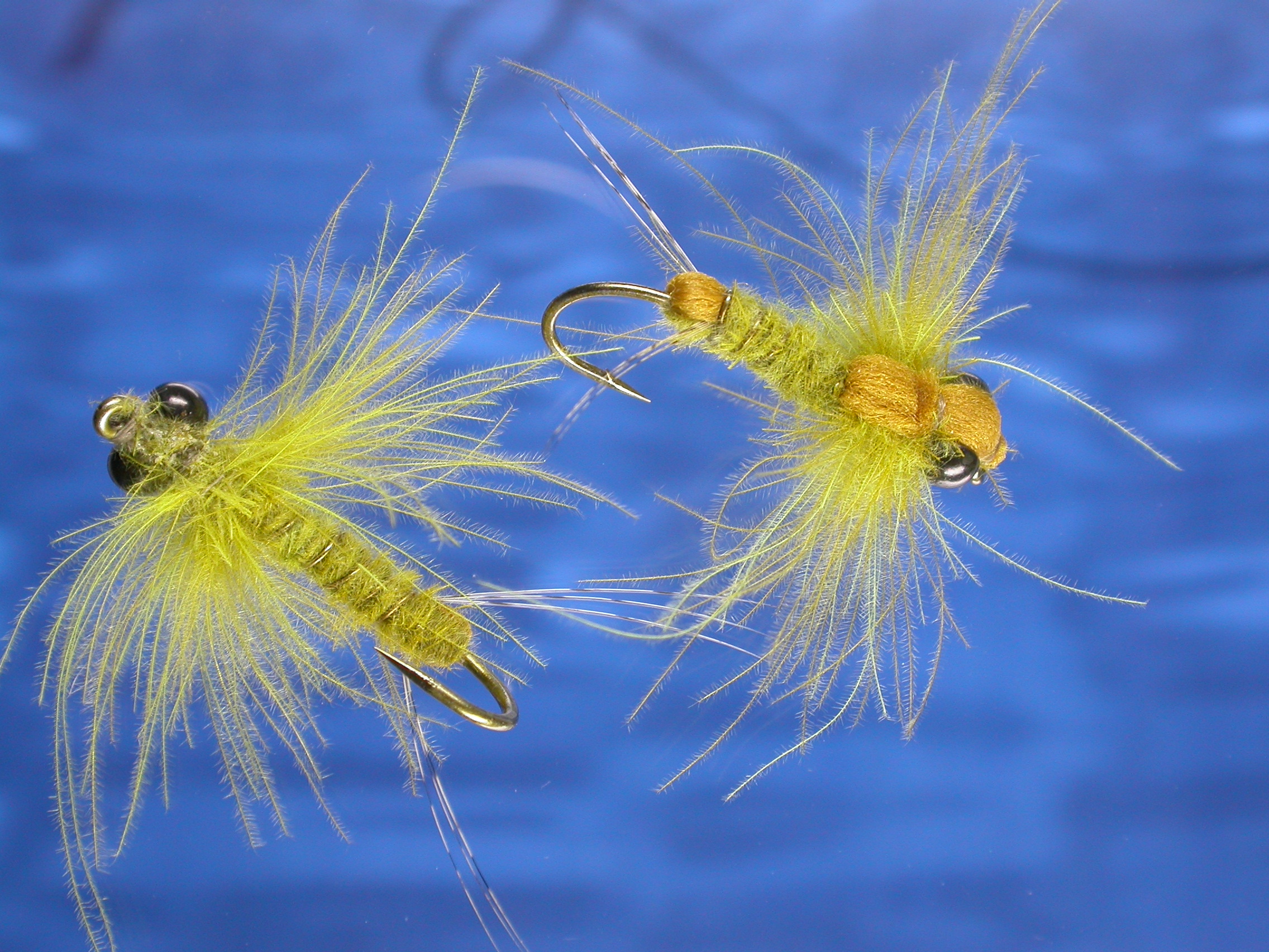 Golden CDC Stonefly Fly Fishing Flies with Fish4Flies Worldwide