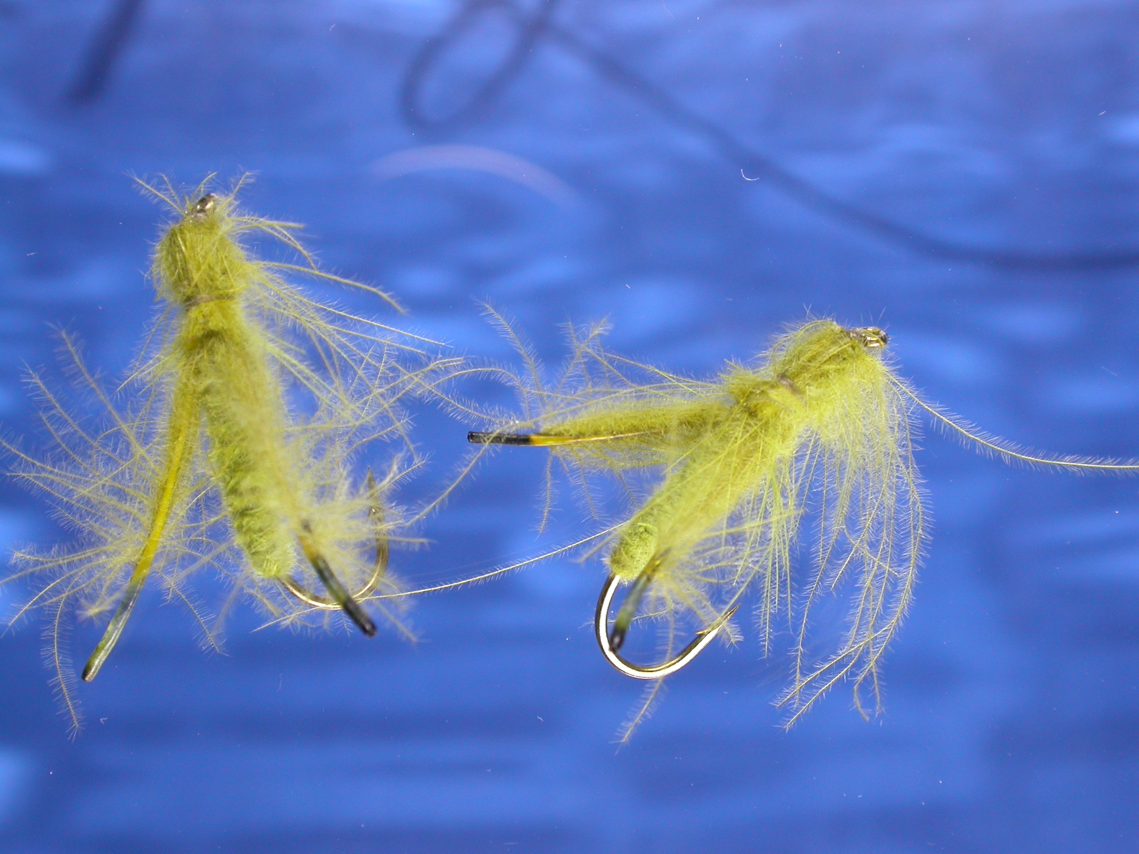 CDC Fly Fishing Flies with Fish4Flies Worldwide