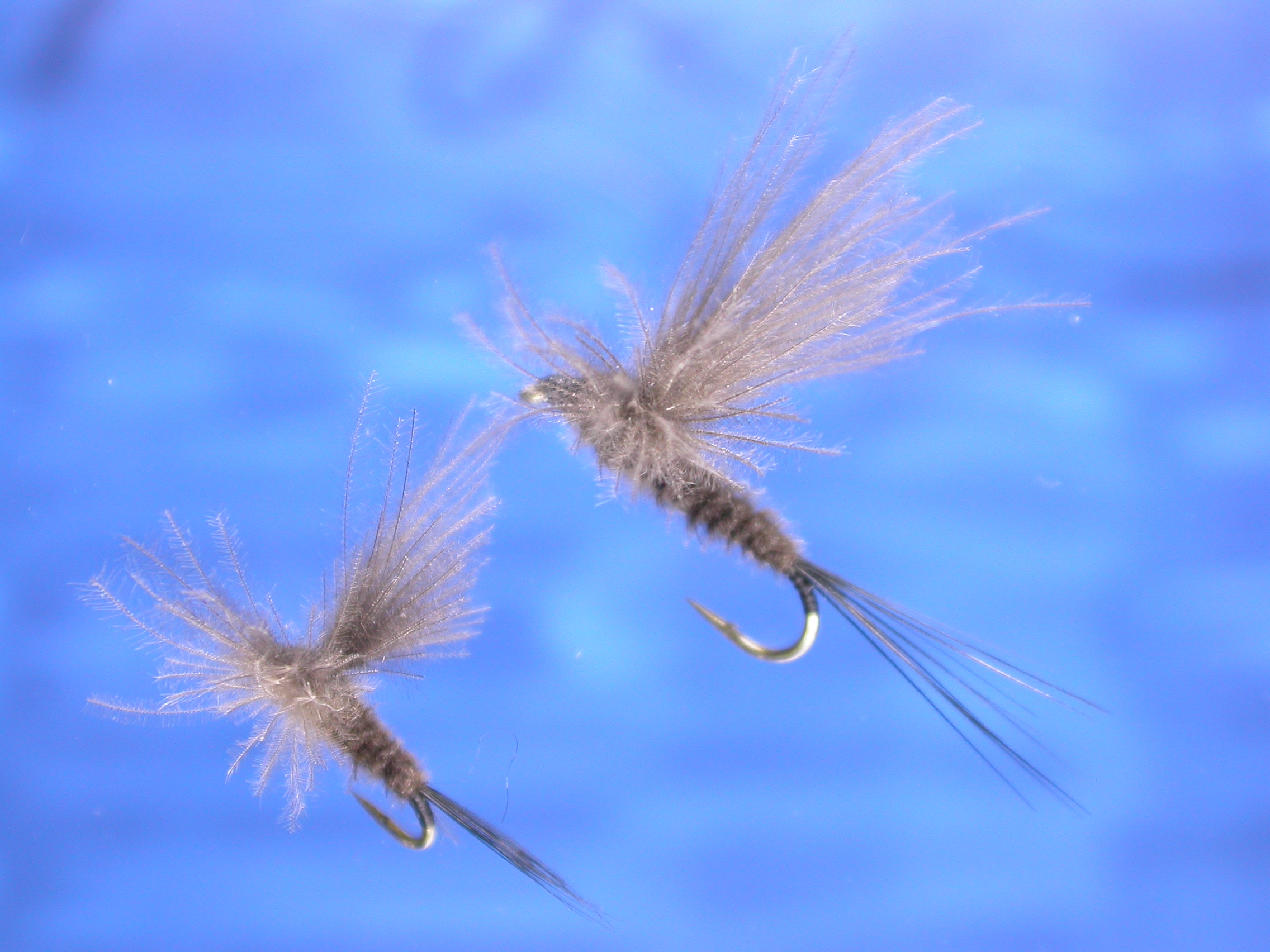 Grey CDC Dun Fly Fishing Flies with Fish4Flies Worldwide