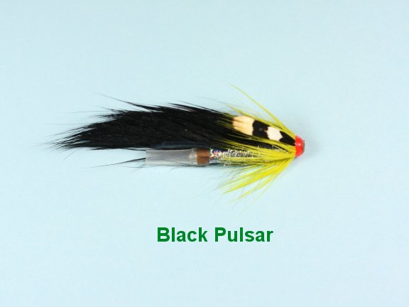Pulsar Black JC
