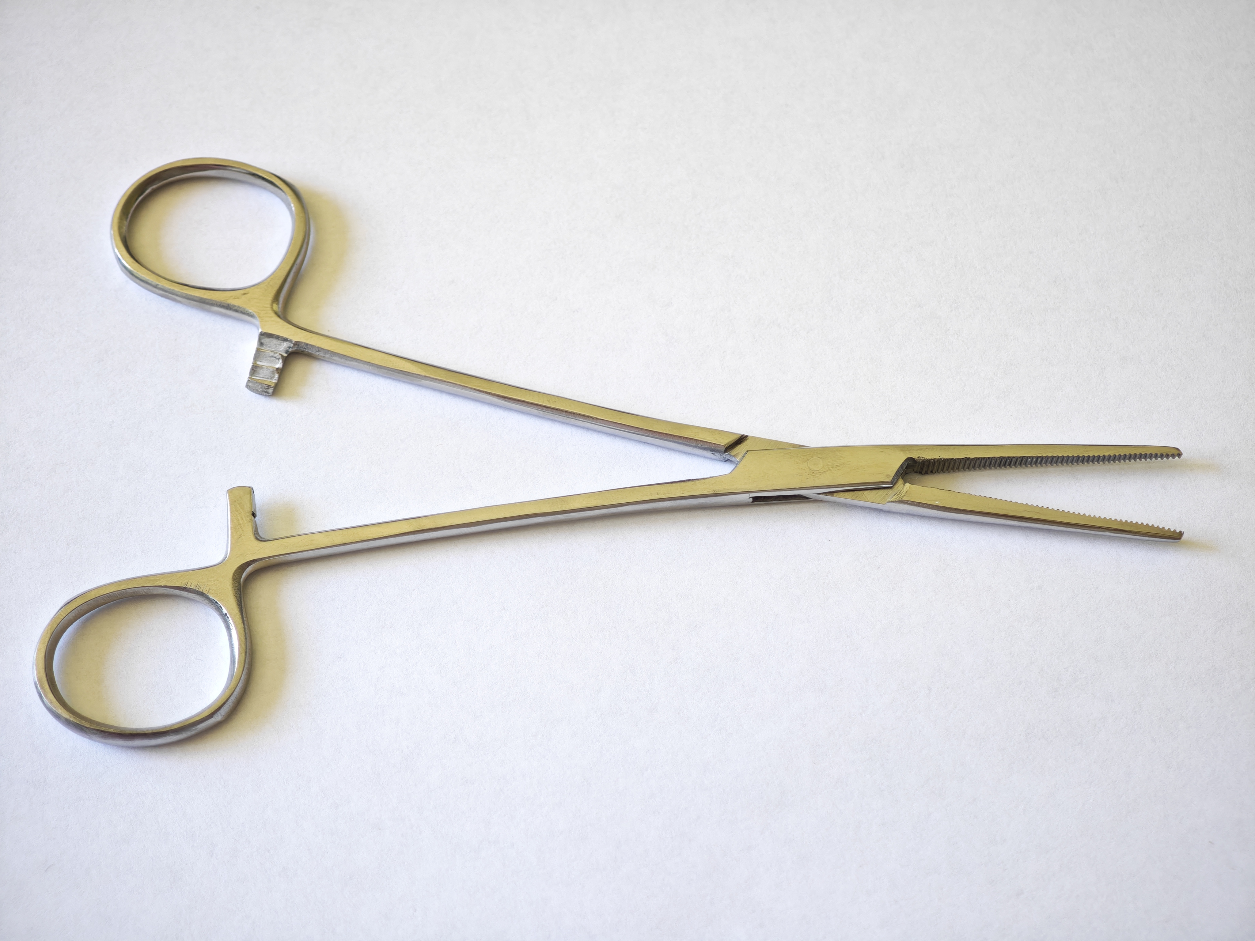 Stainless Steel Forceps