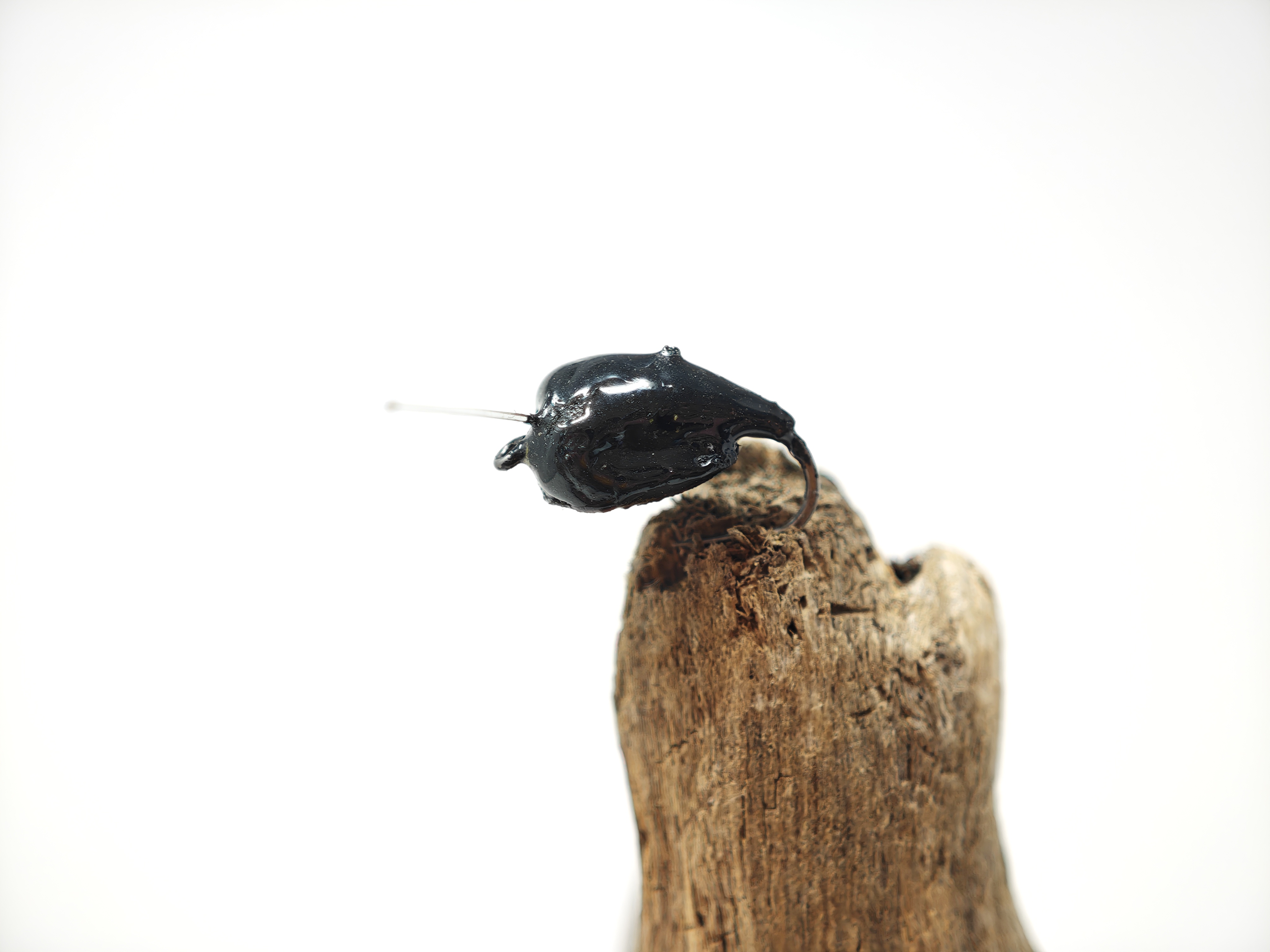Black Snail