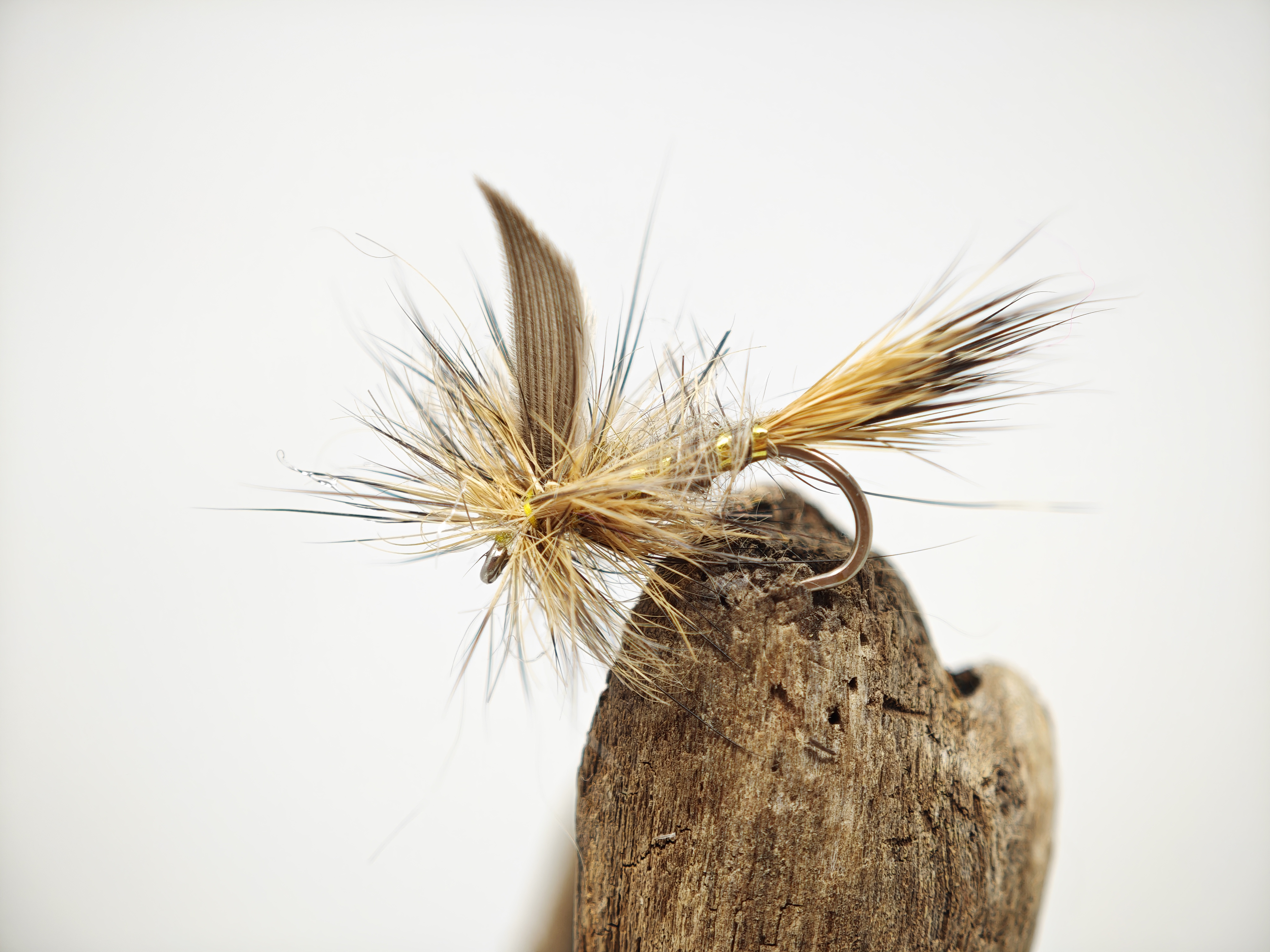 Gold Ribbed Hares Ear