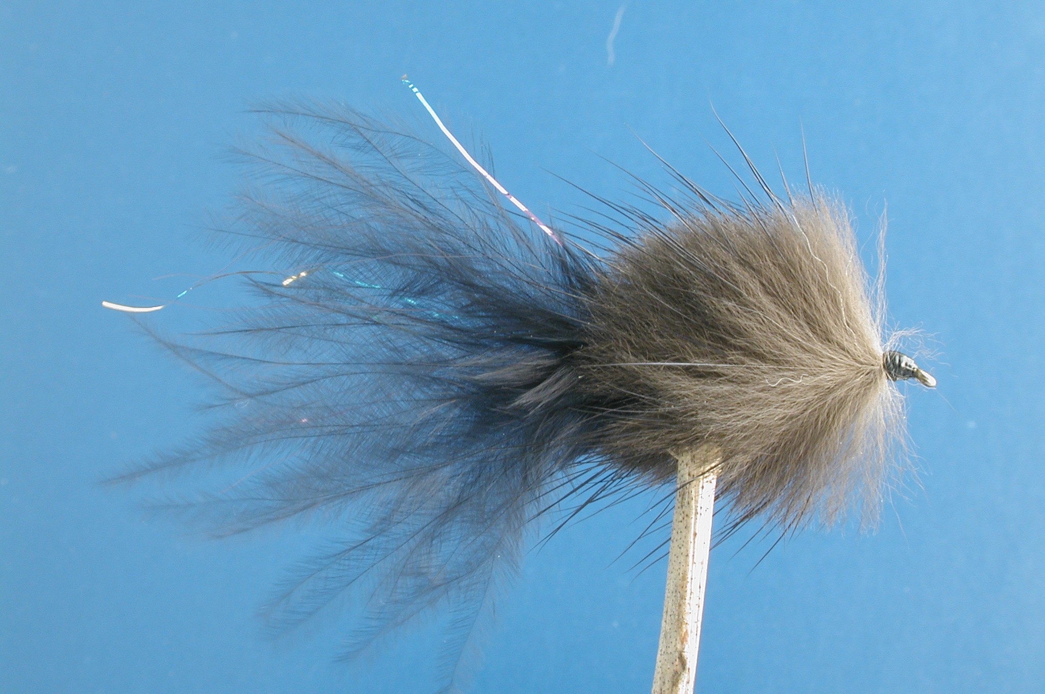 Stewarts Black Millionaire Taddy