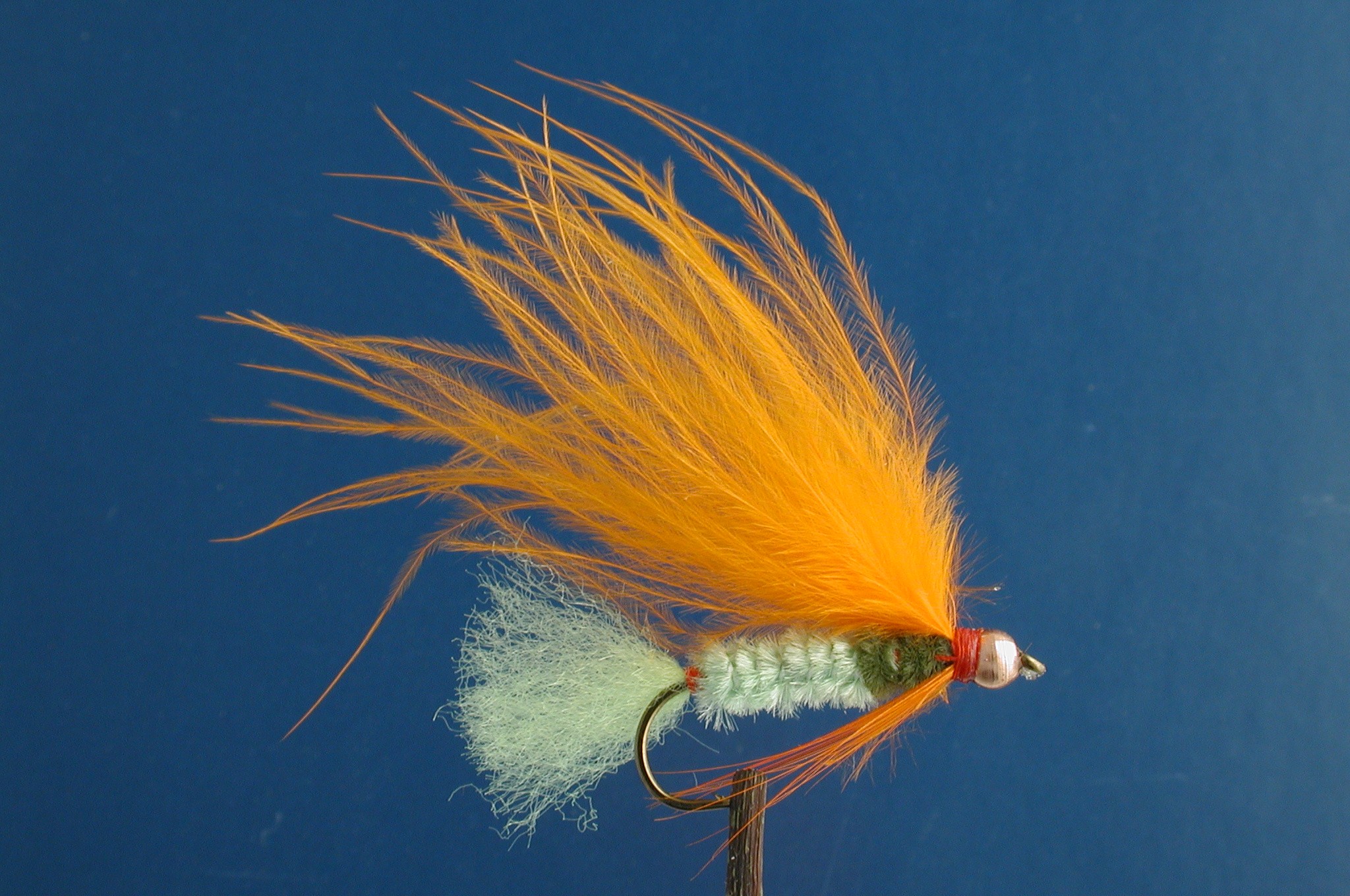 Elwyns Lure