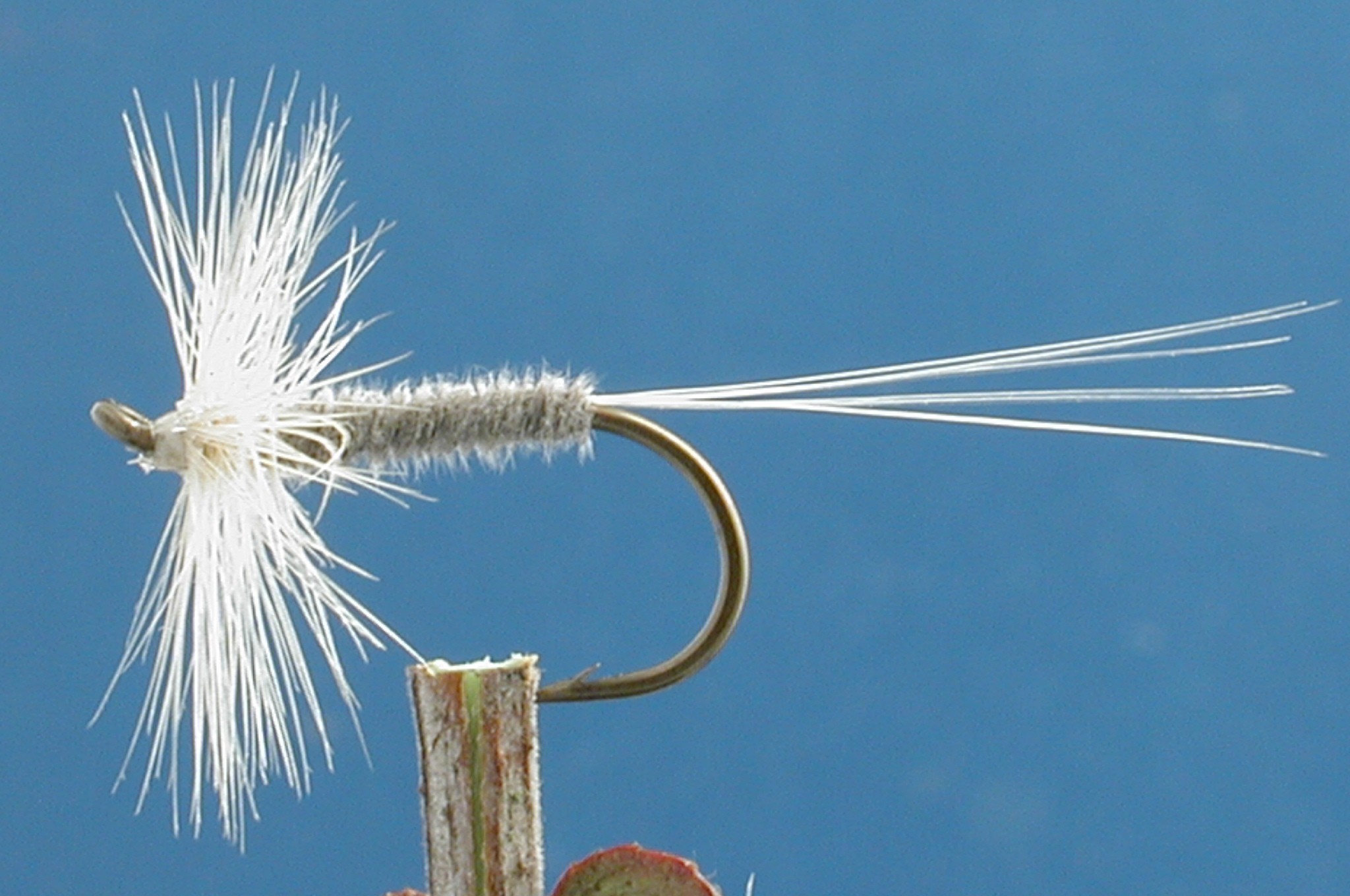 Kites Pale Evening Dun