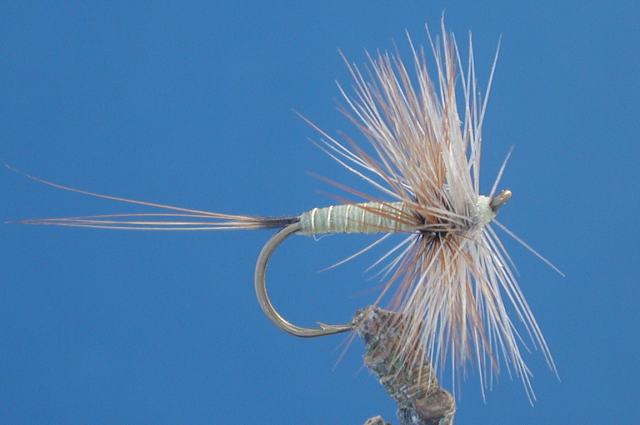 Greenwells Glory Hackled