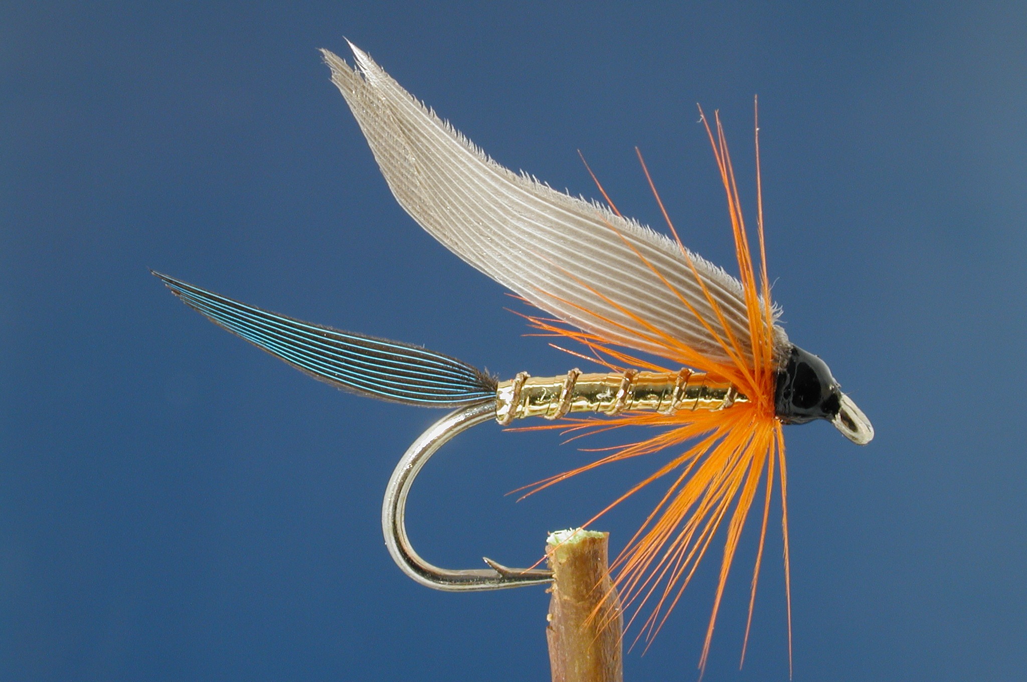 Kingfisher Butcher Grey Wing