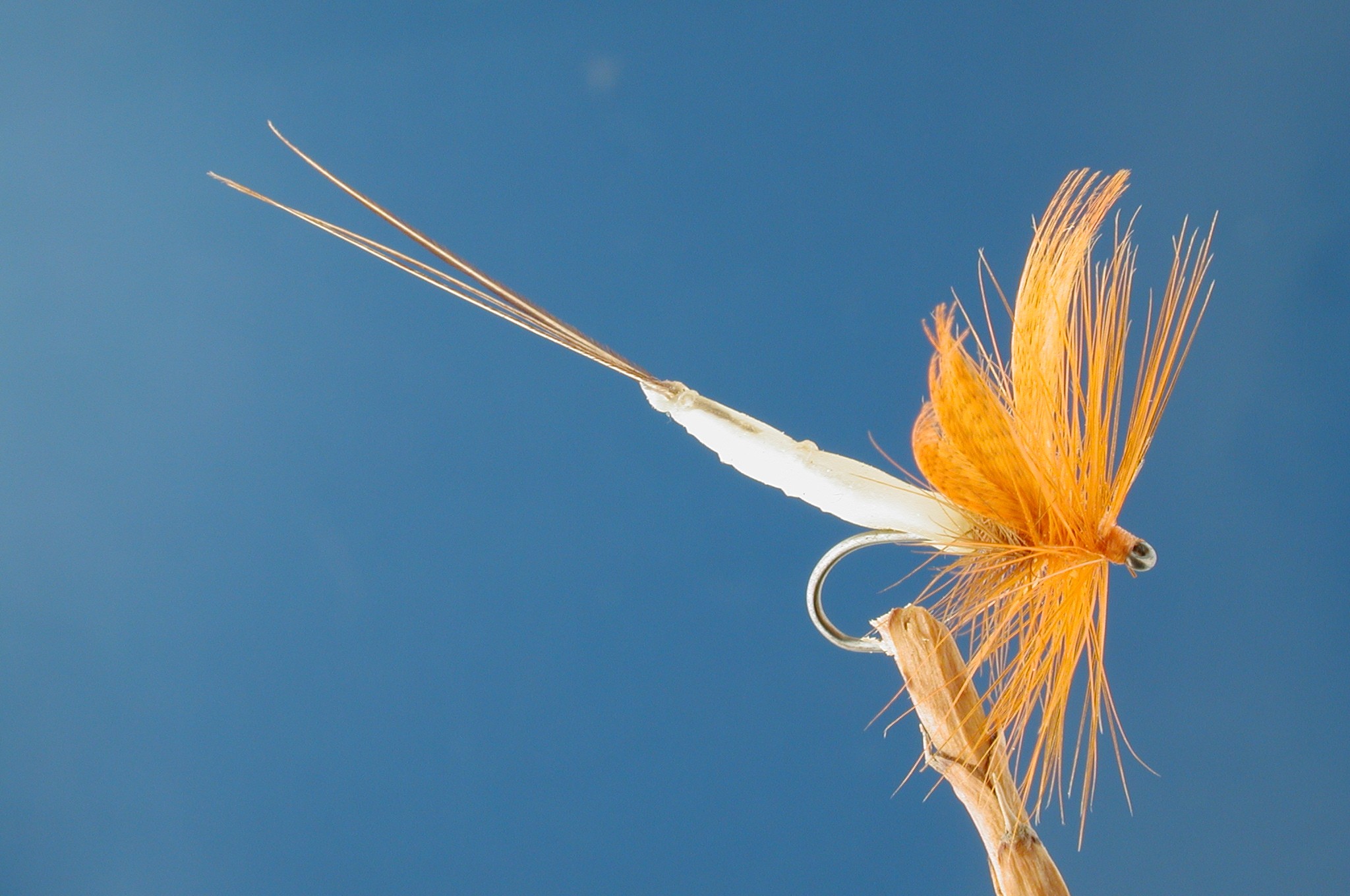 Detached Body Mayfly Orange