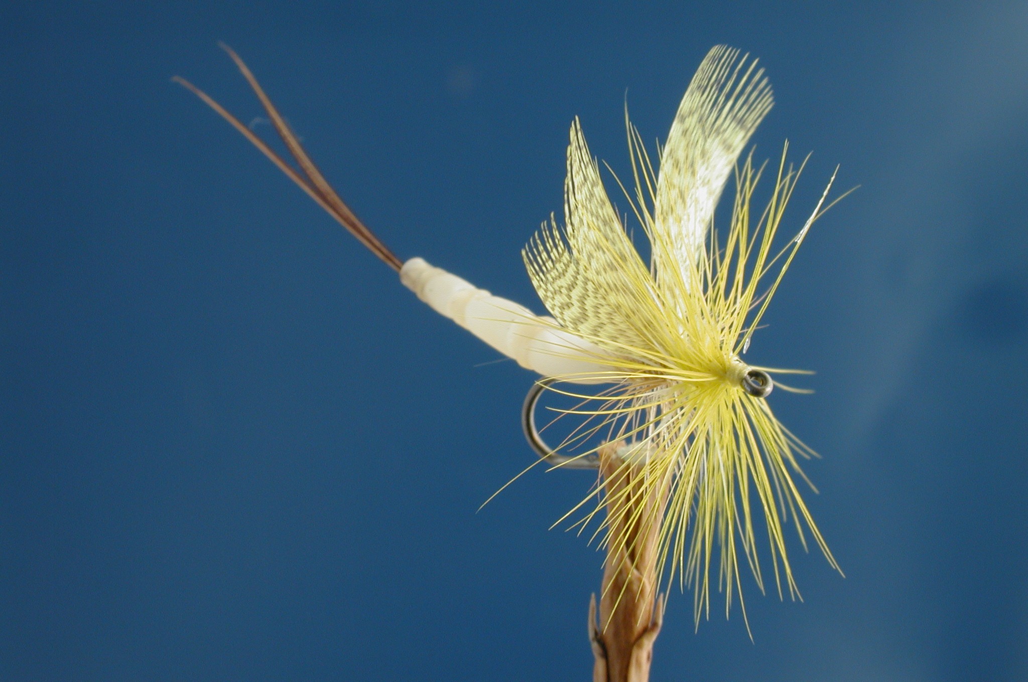 Detached Body Mayfly Yellow