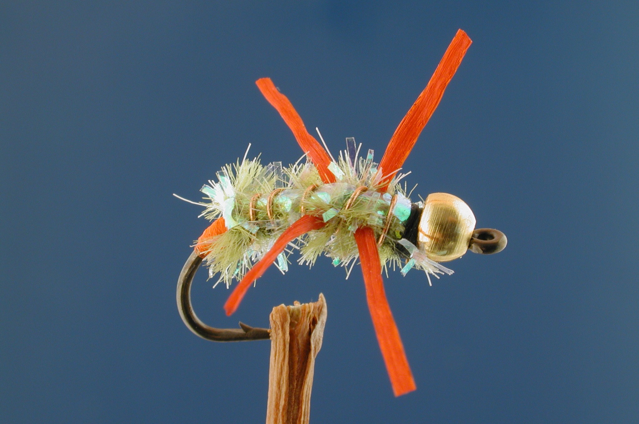 X-Legged GH Olive Light