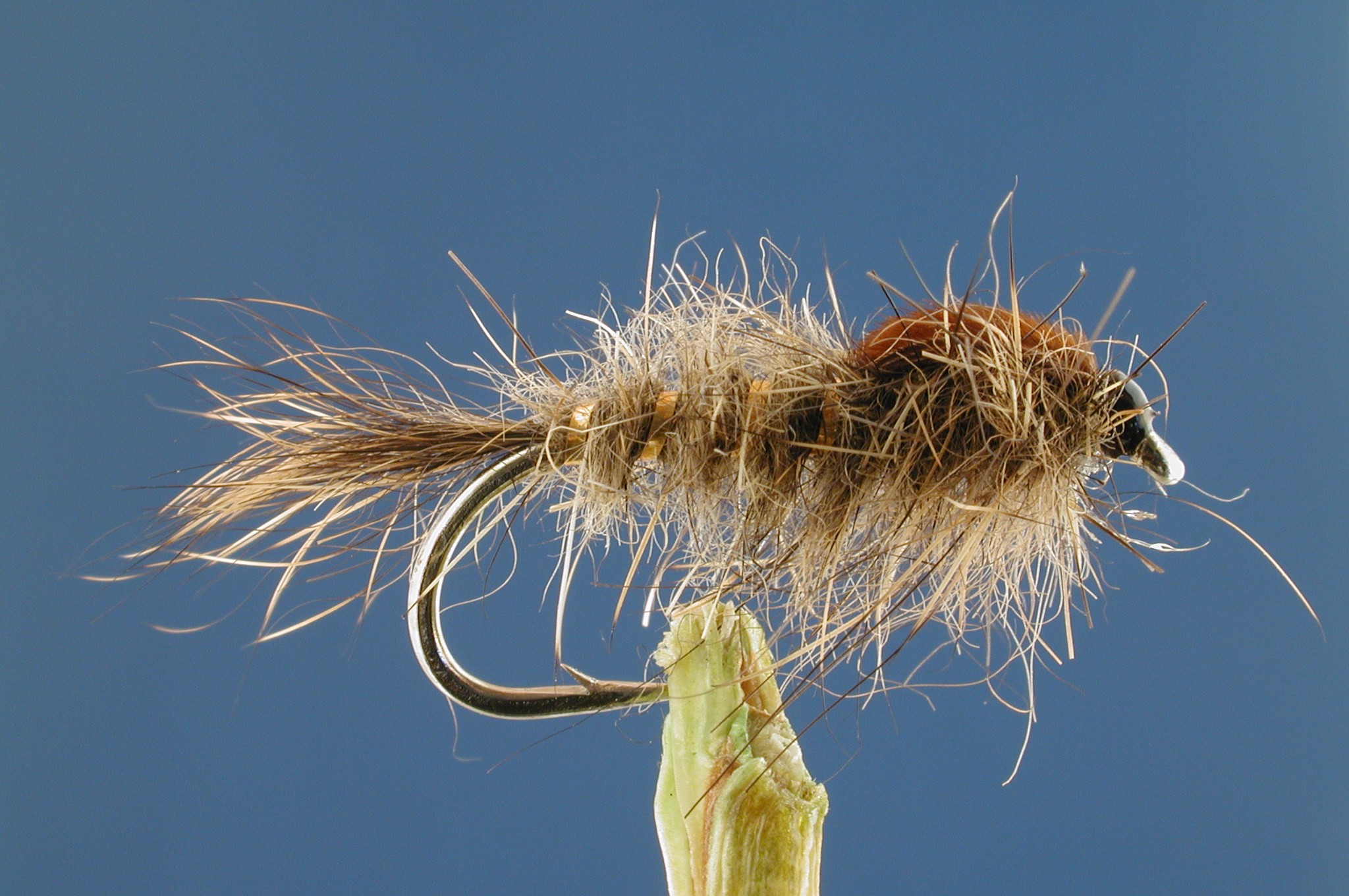 Gold Ribbed Hares Ear Nymph