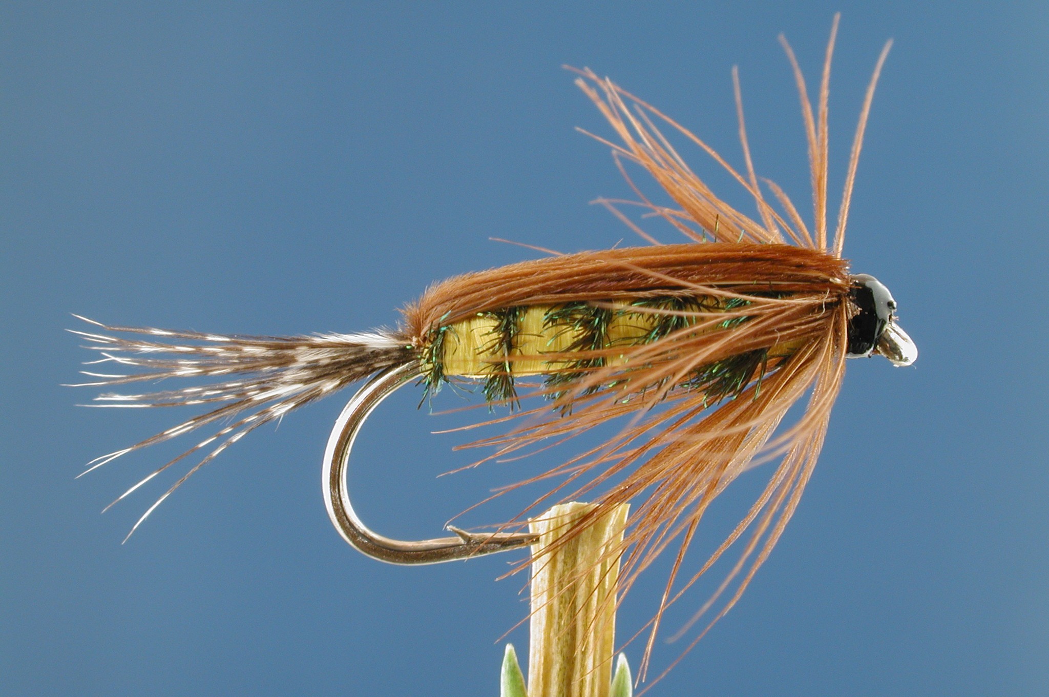 Tellico Nymph