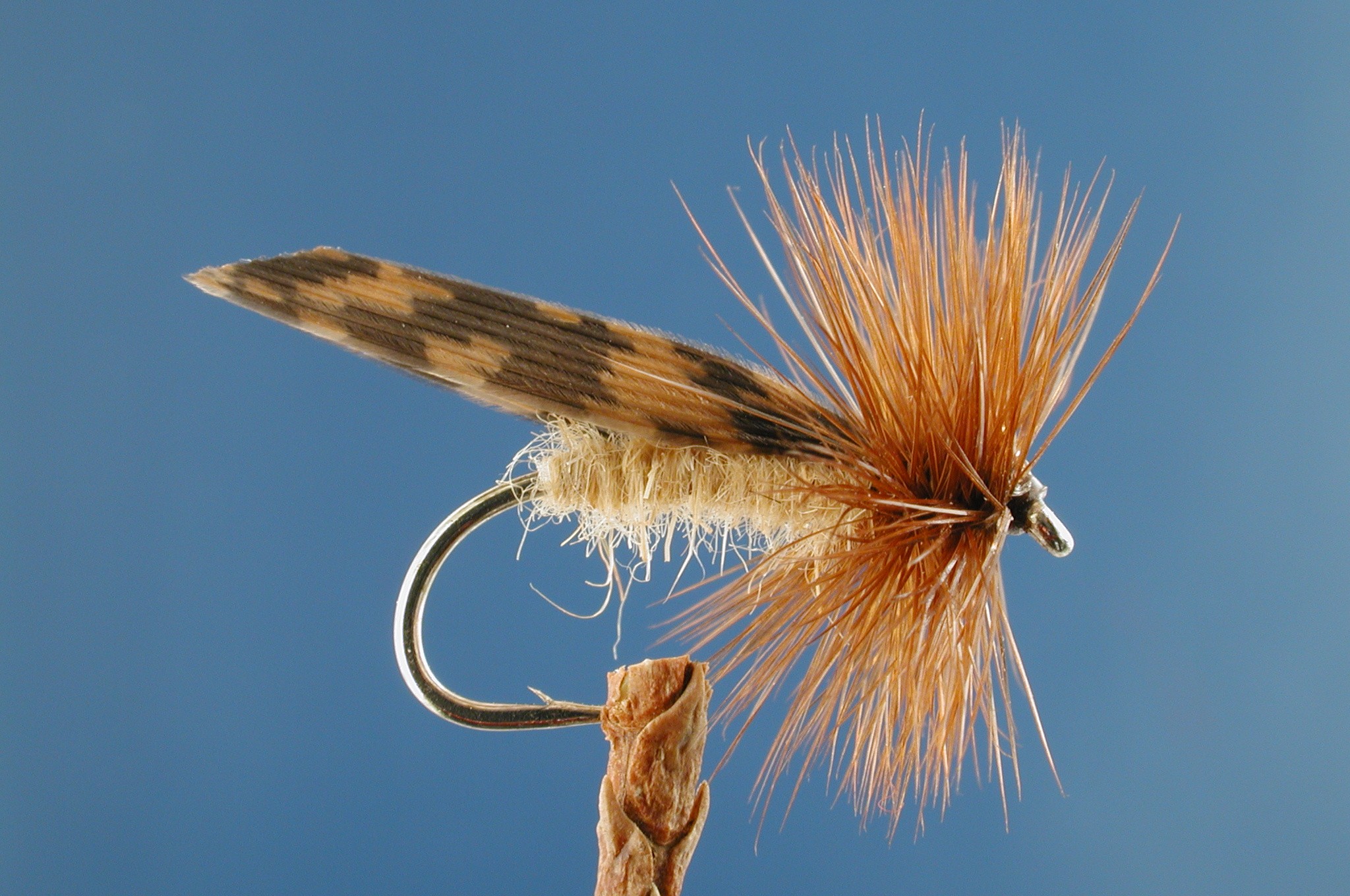 King River Caddis Light