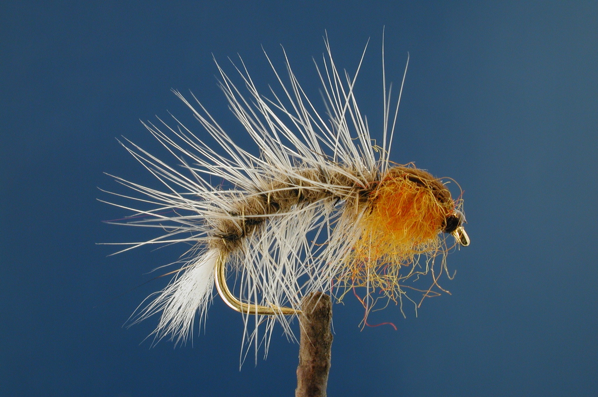 Gold Ribbed Hares Ear Palmer, Light