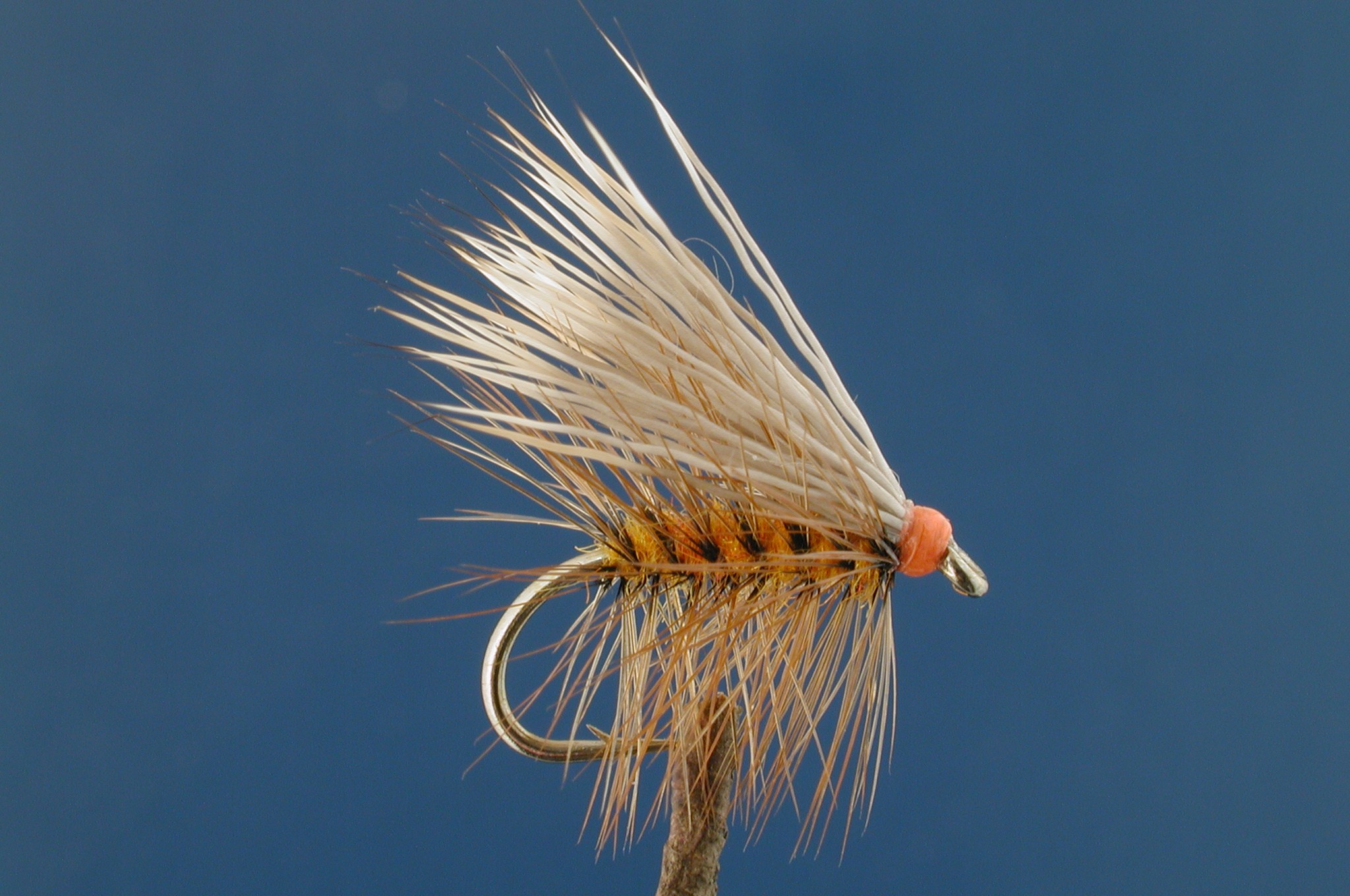 Caddis Buck