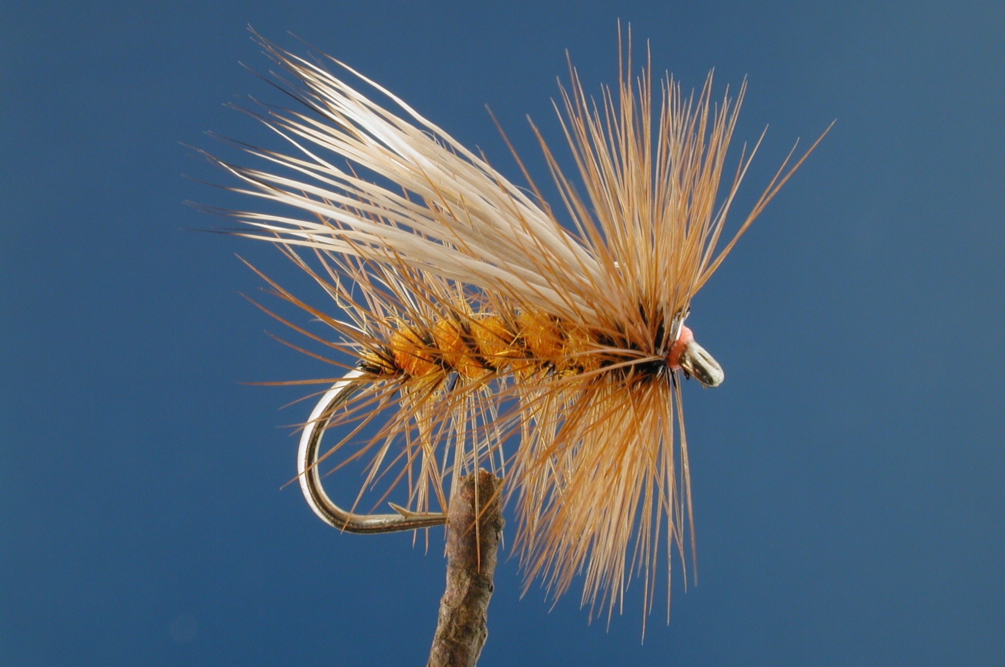Caddis Buck Hackled