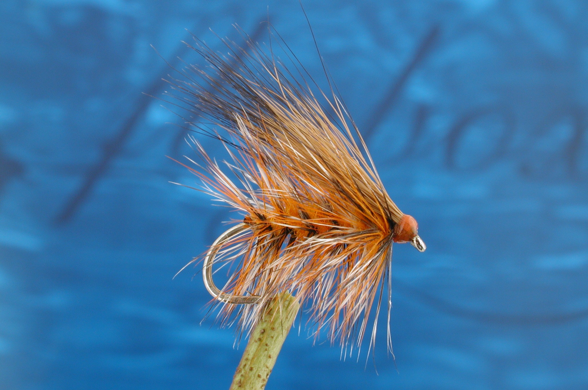 Large Orange Sedge