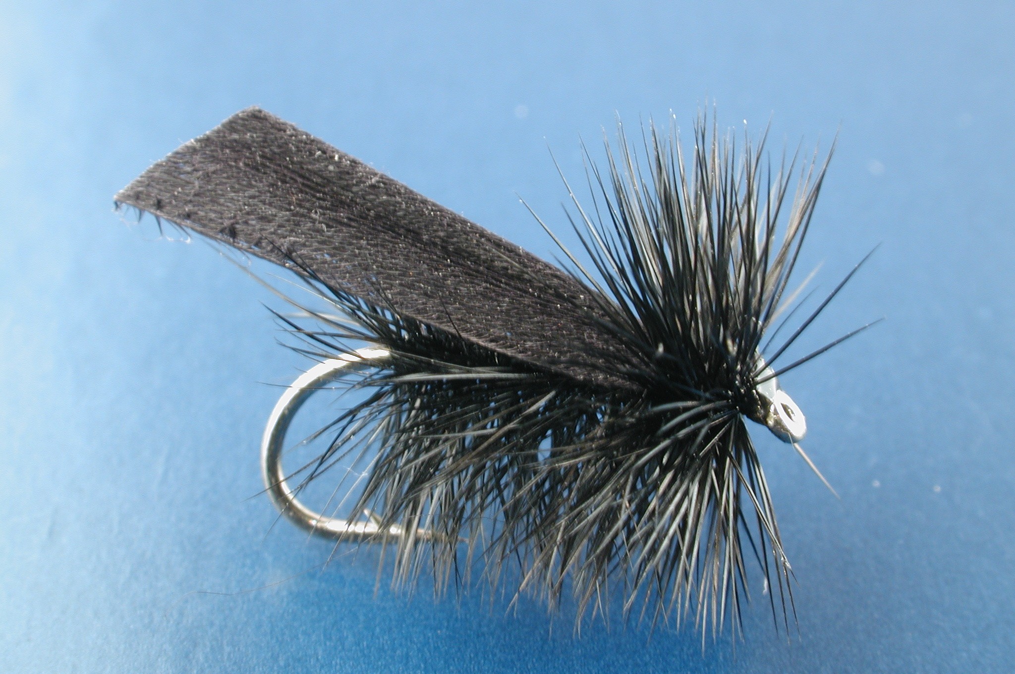 Black Sedge