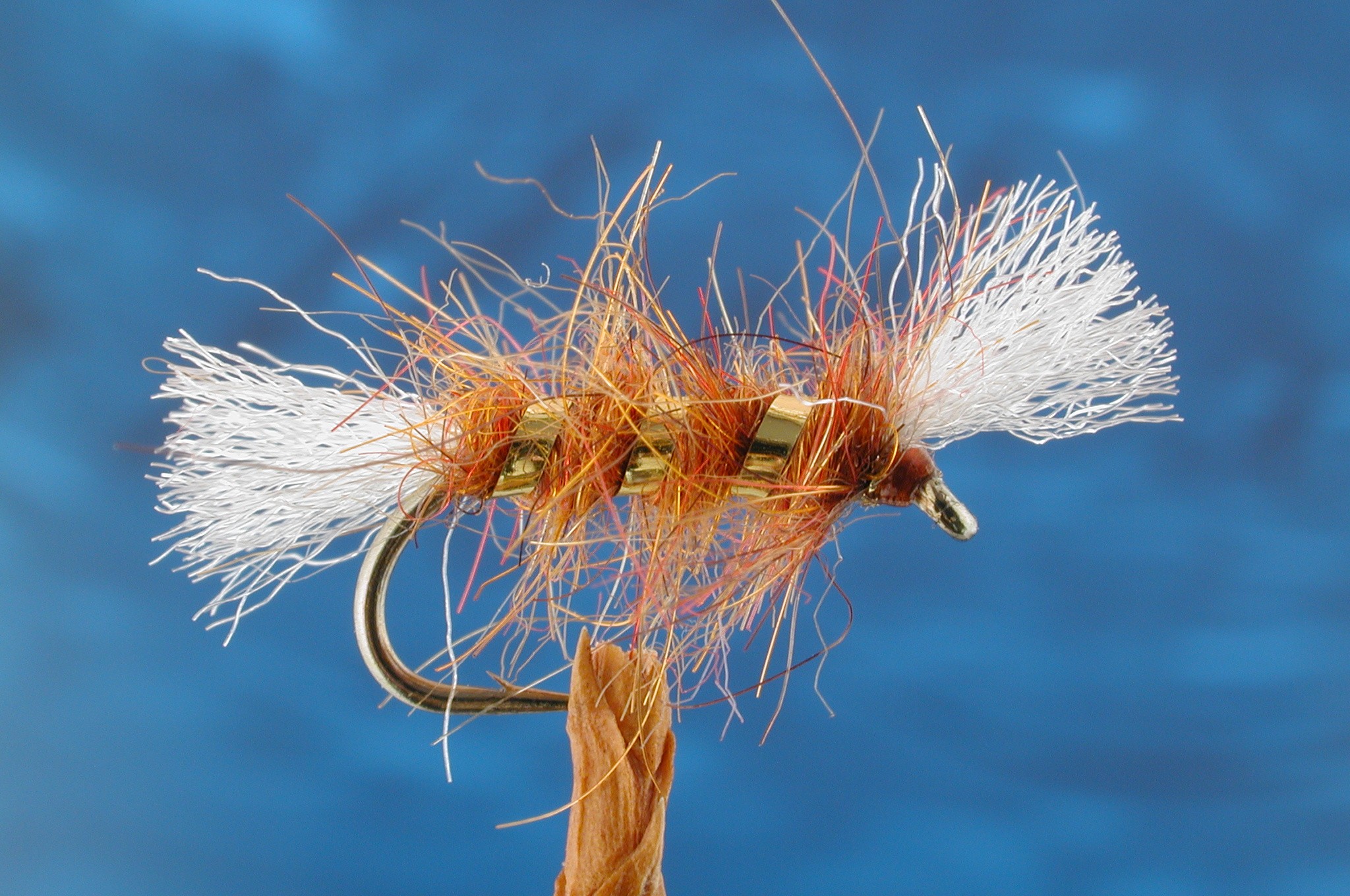 Shipmans Fiery Brown Buzzer