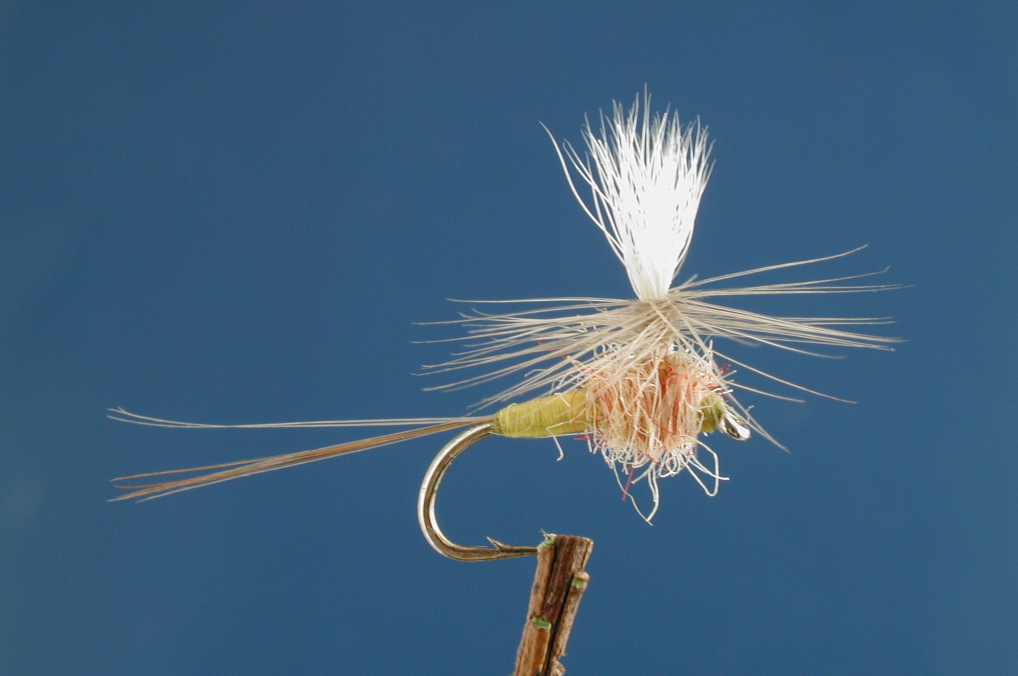 Parachute Tups Indispensable