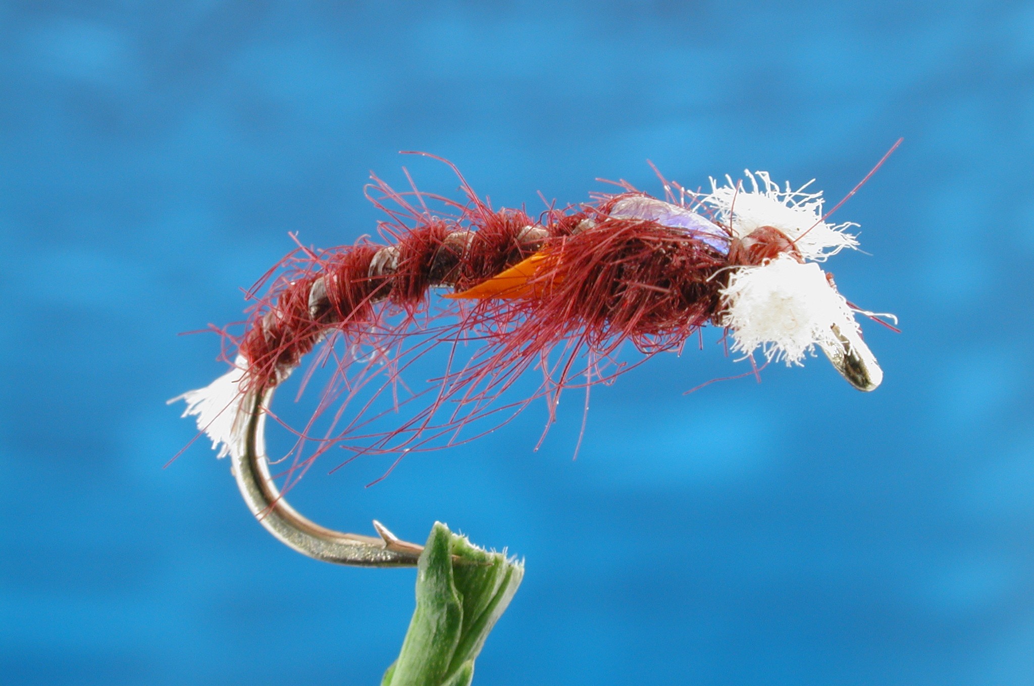 Sids Standard Claret Buzzer