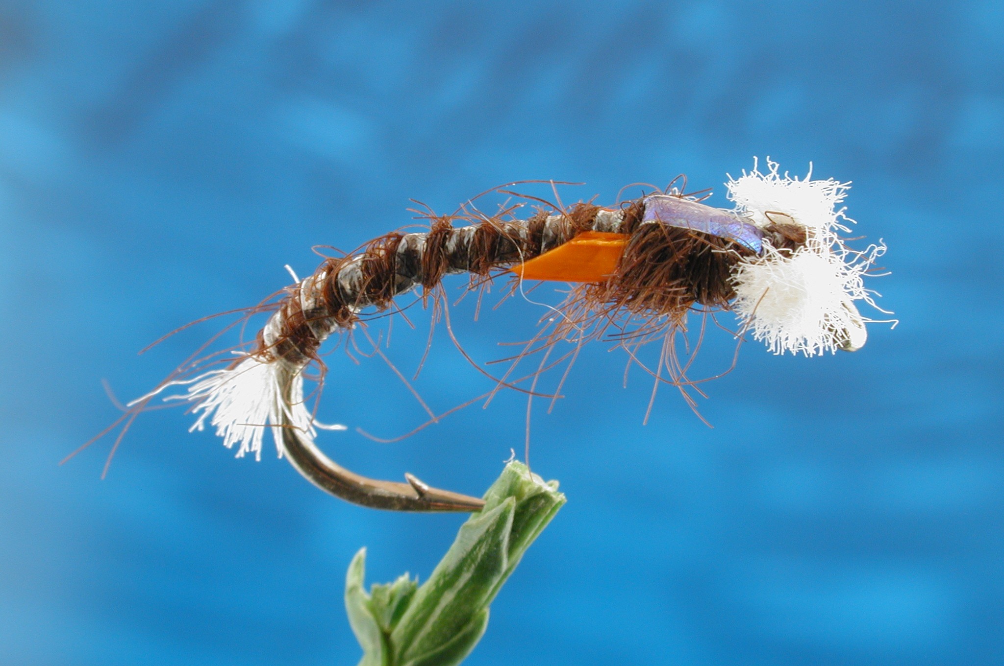 Sids Standard Brown Buzzer