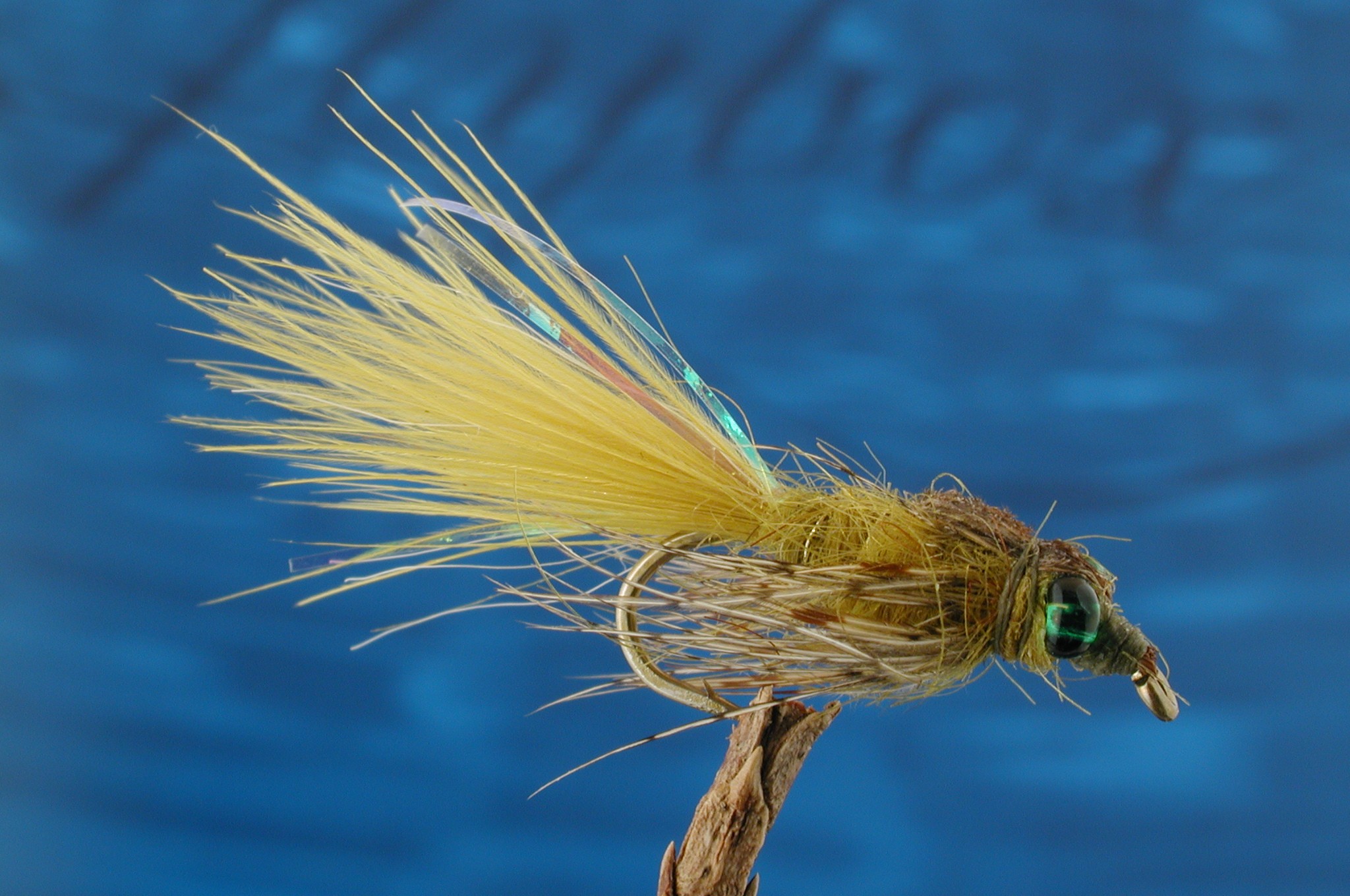 Leaded Eyed Marabuo Damsel Golden Olive Nymph