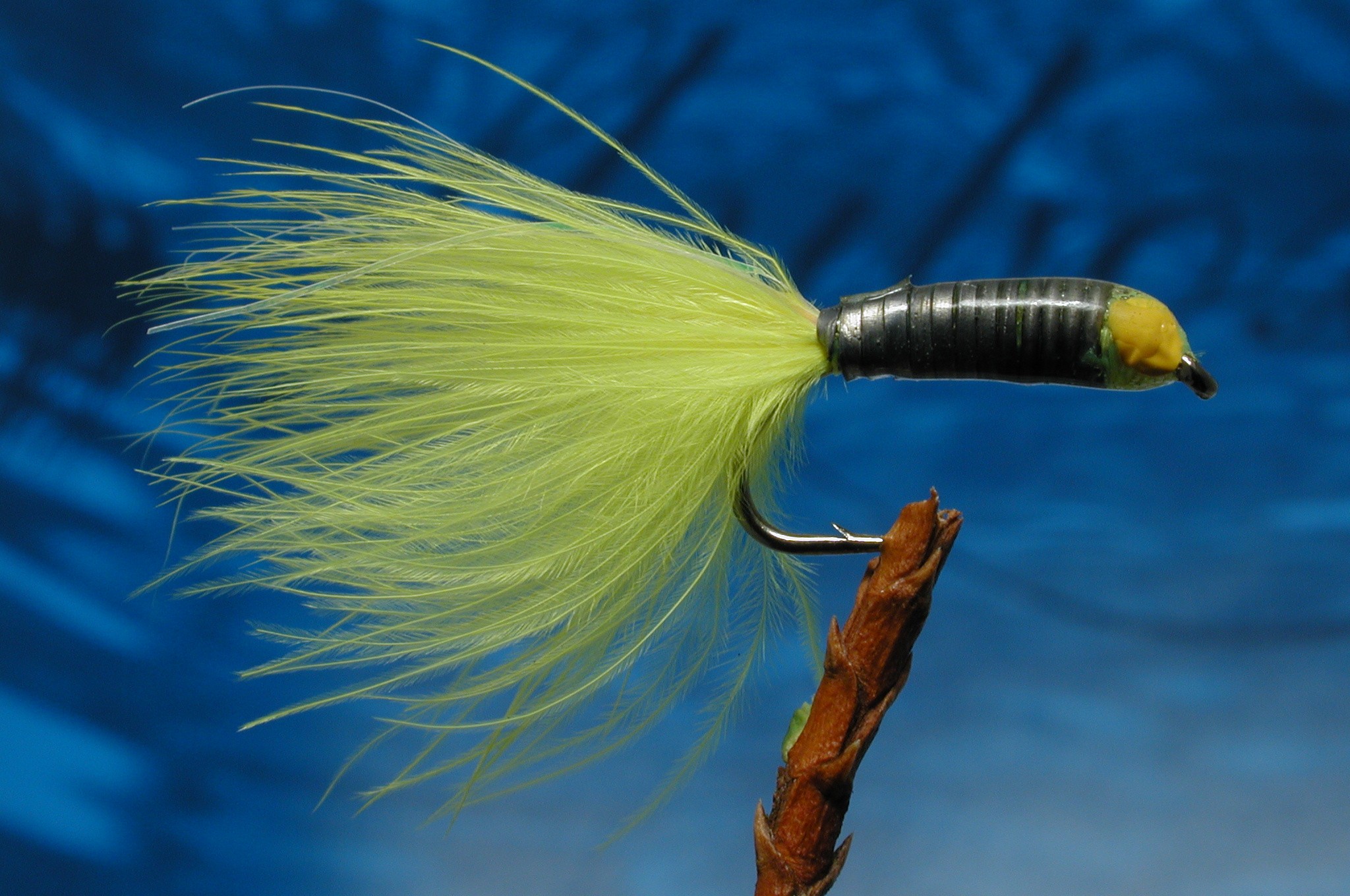 Eyed Stalking Bug Yellow