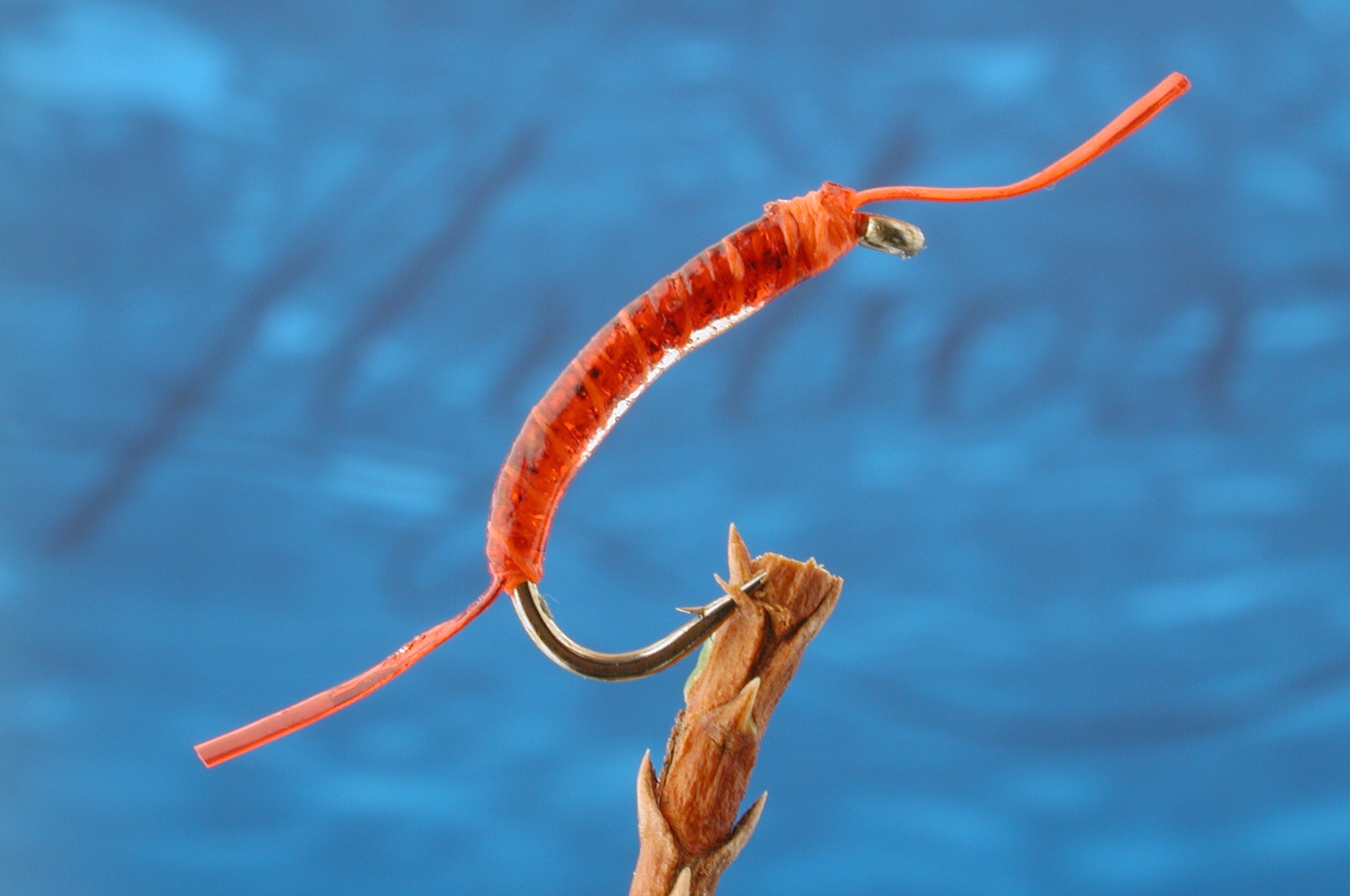 Epoxy Buzzer Bloodworm