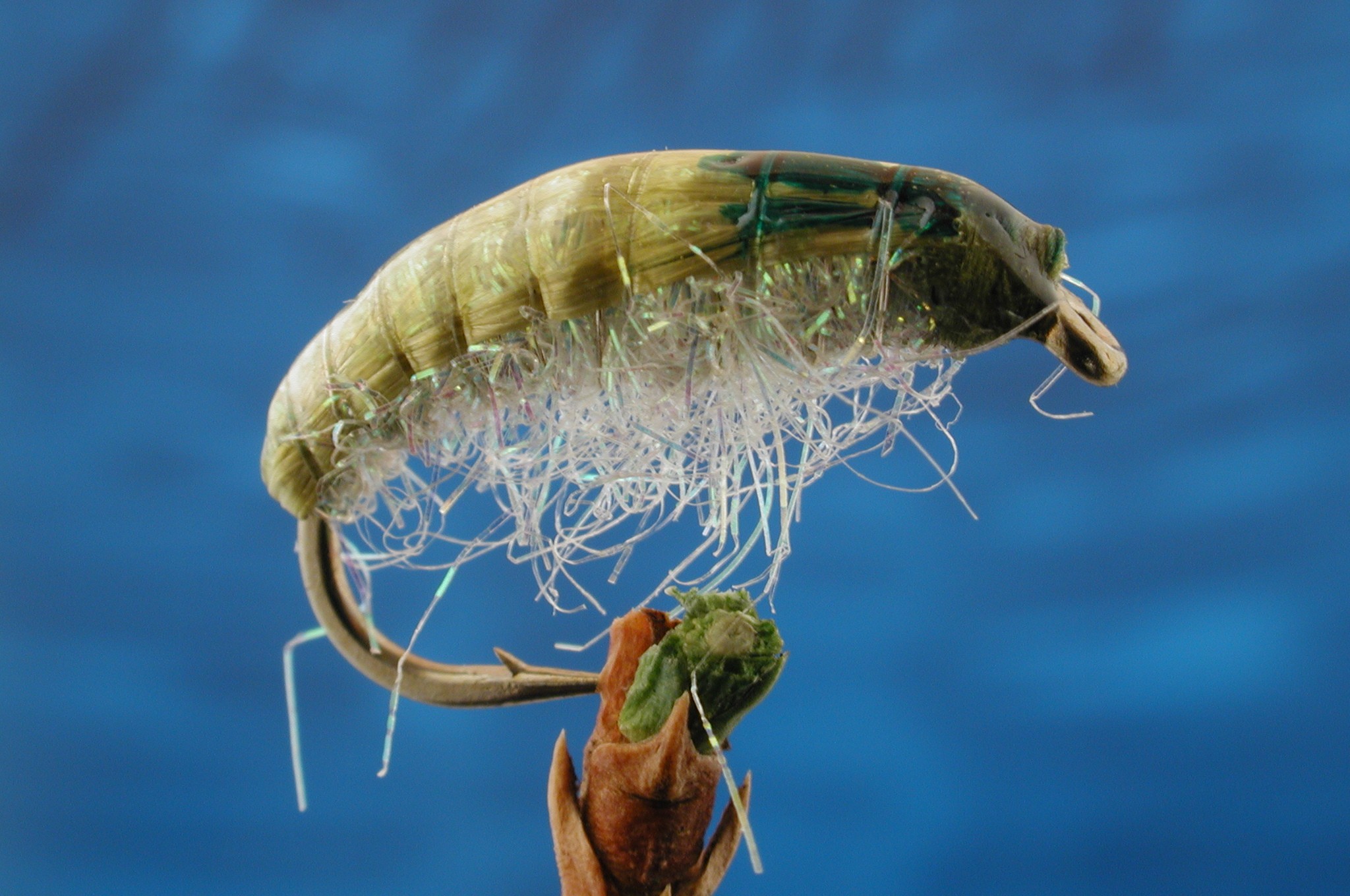 Epoxy Back Litbrite Chomper