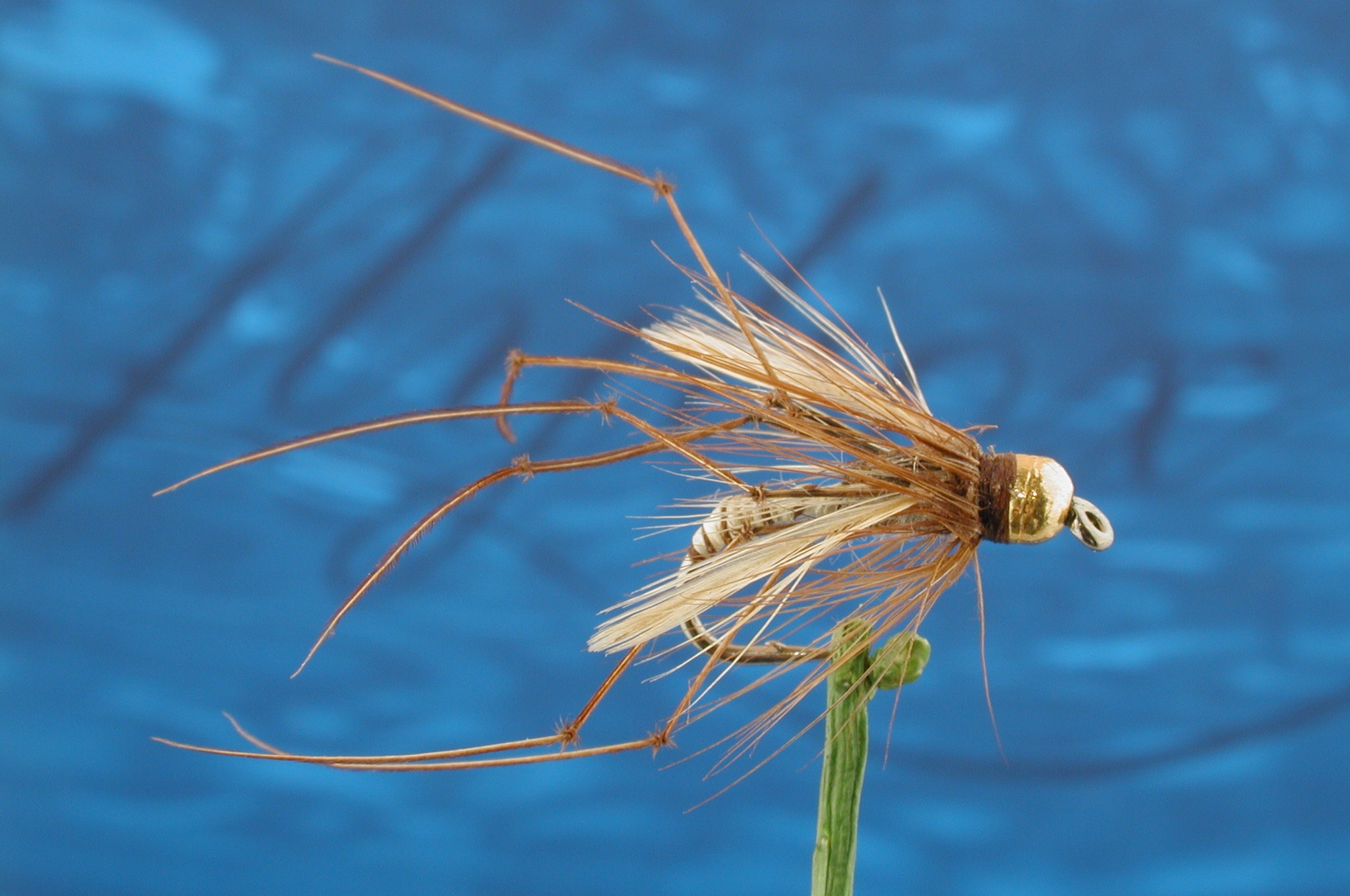 Tungsten Light Daddy Longlegs