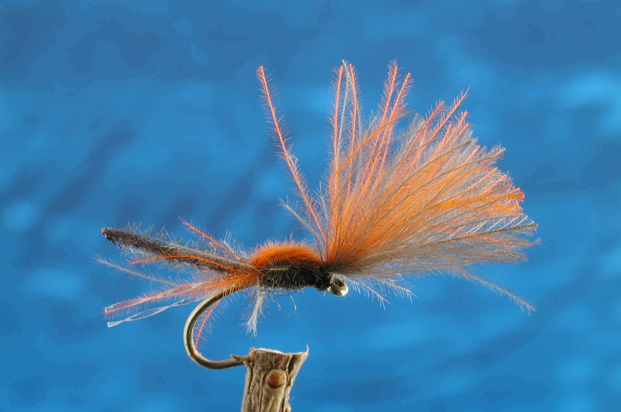 Blood Flush C.D.C. Emerger