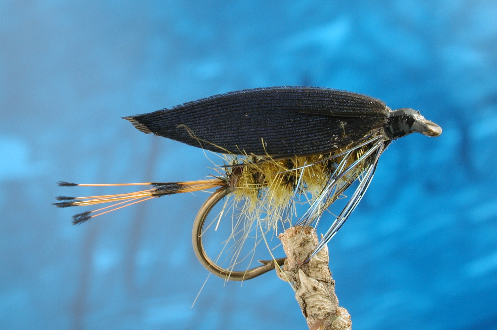 Golden Olive Gorbenmac