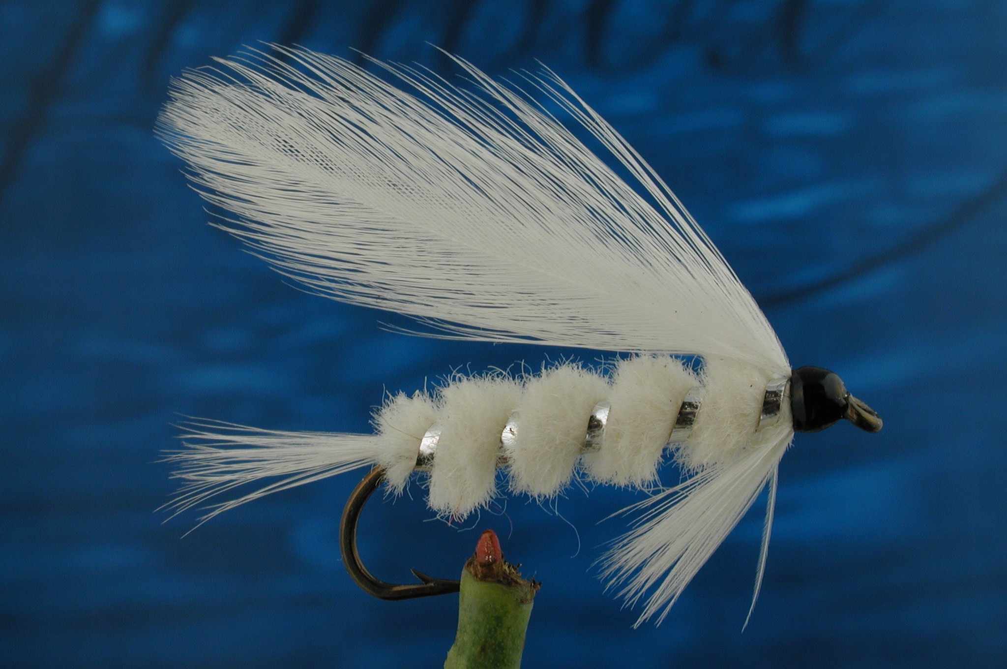 White Chenille