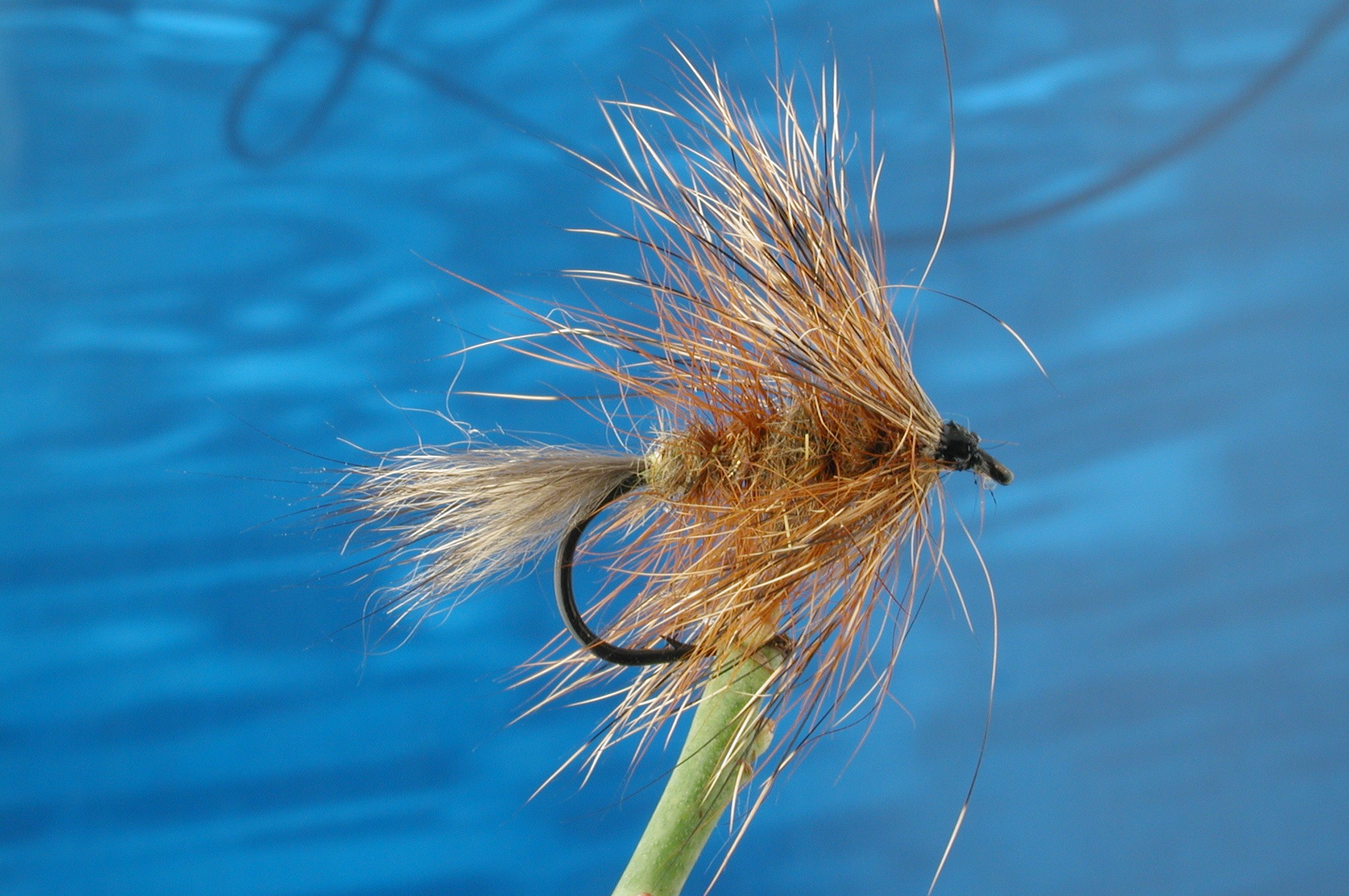Hairy March Brown