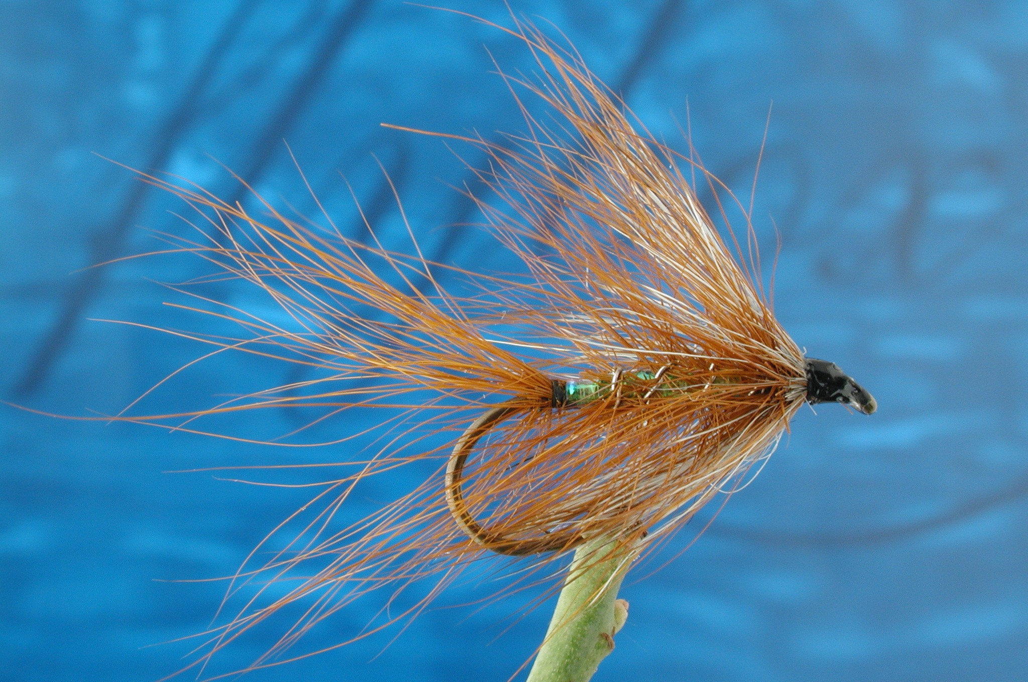 Hairy Pearly Wickhams