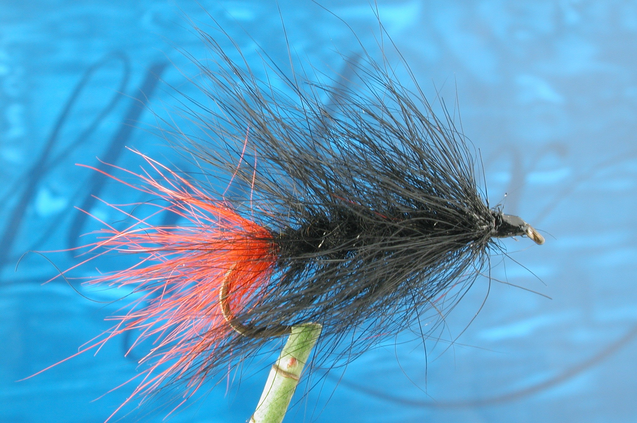 Hairy All Black Woolly Worm