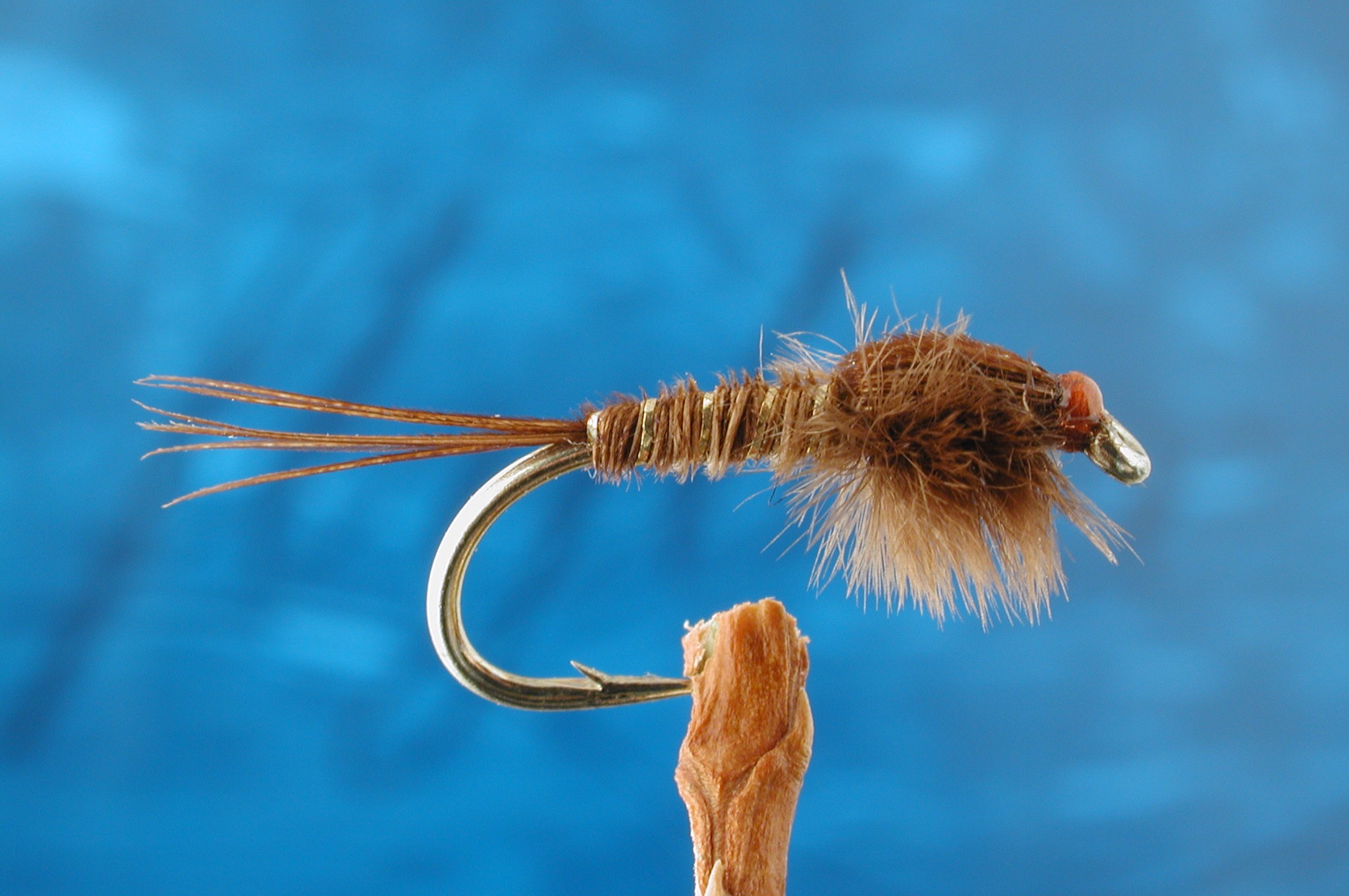 Collyers Brown Nymph