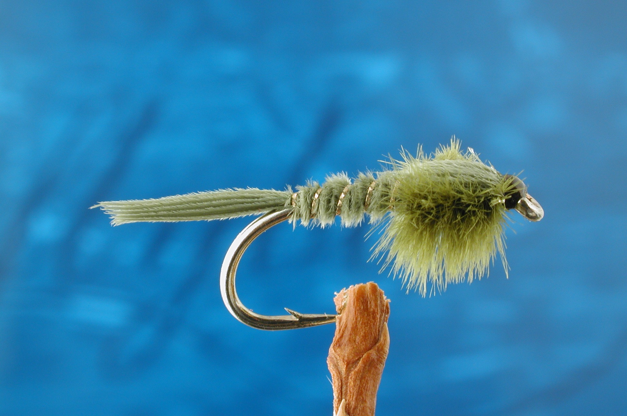 Collyers Green Nymph