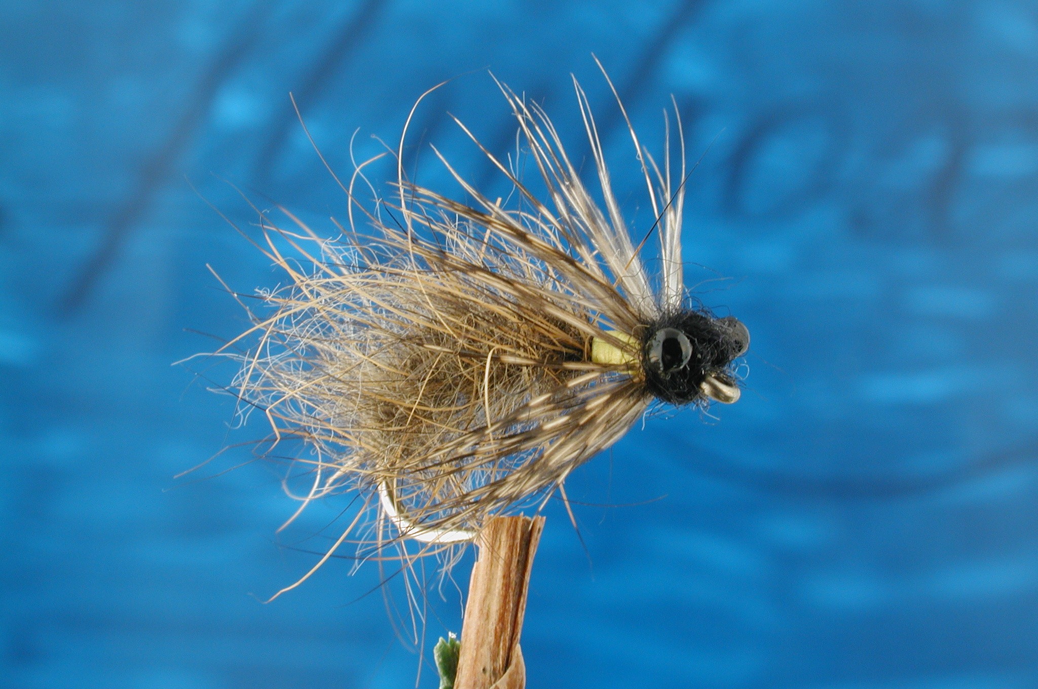 Hare Caddis