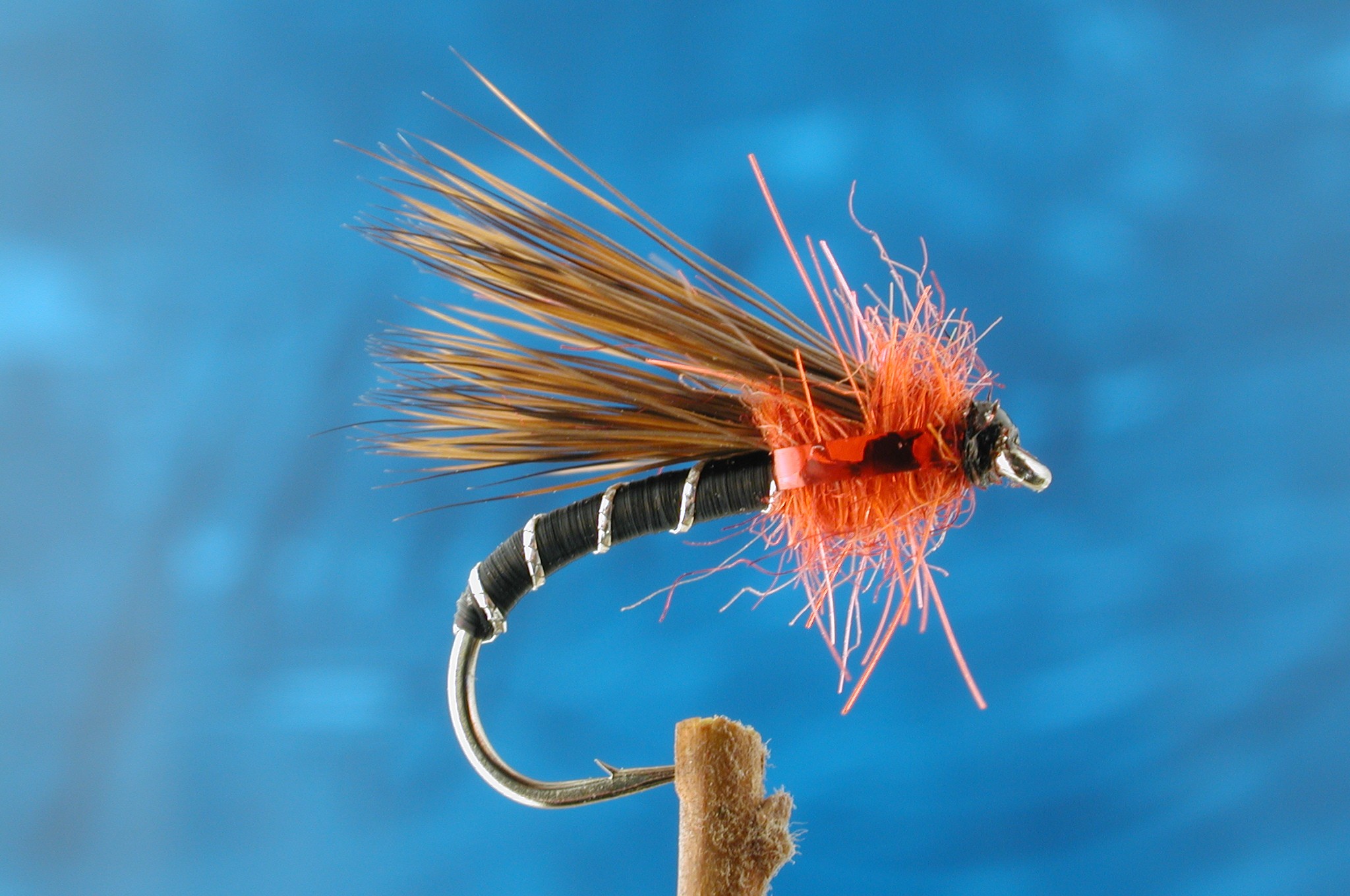 Black and Red Half Hog