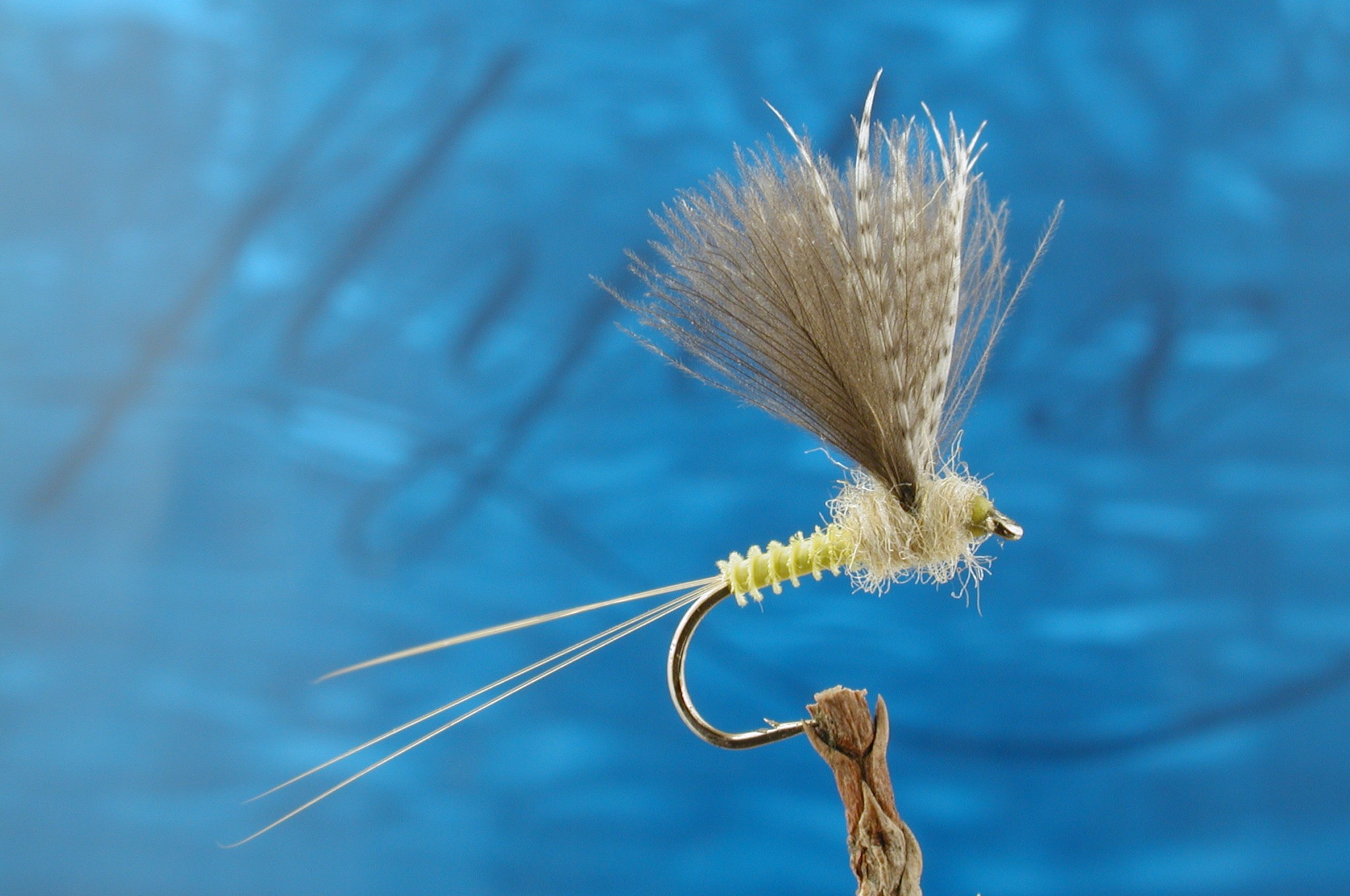 CDC Biot Comparadun Pale Morning Dun