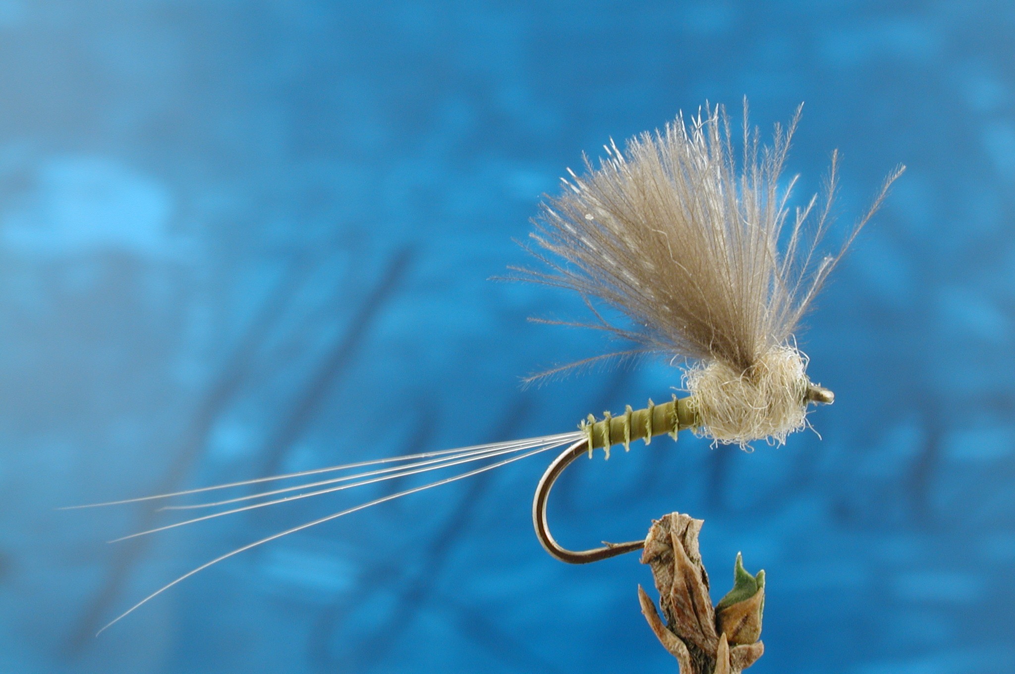 CDC Biot Comparadun Blue  Winged  Olive